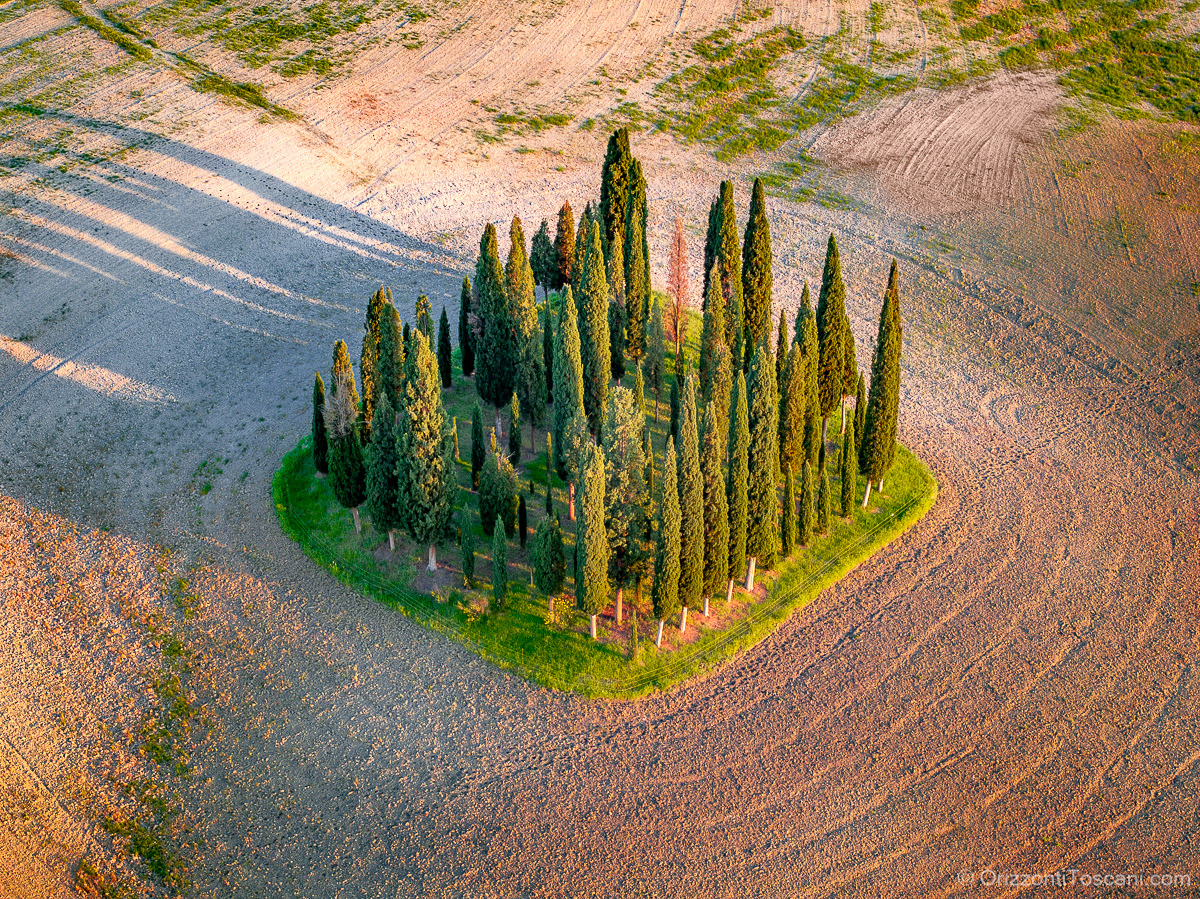I celebri cipressi di San Quirico d’Orcia visti dall’alto, circondati da campi toscani dorati nella luce calda del tramonto, stampa paesaggistica ideale per luxury resort, boutique hotel e interni esclusivi.
