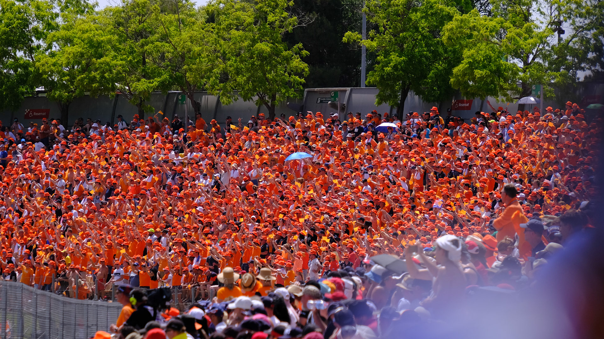 Fans of Max Verstappen