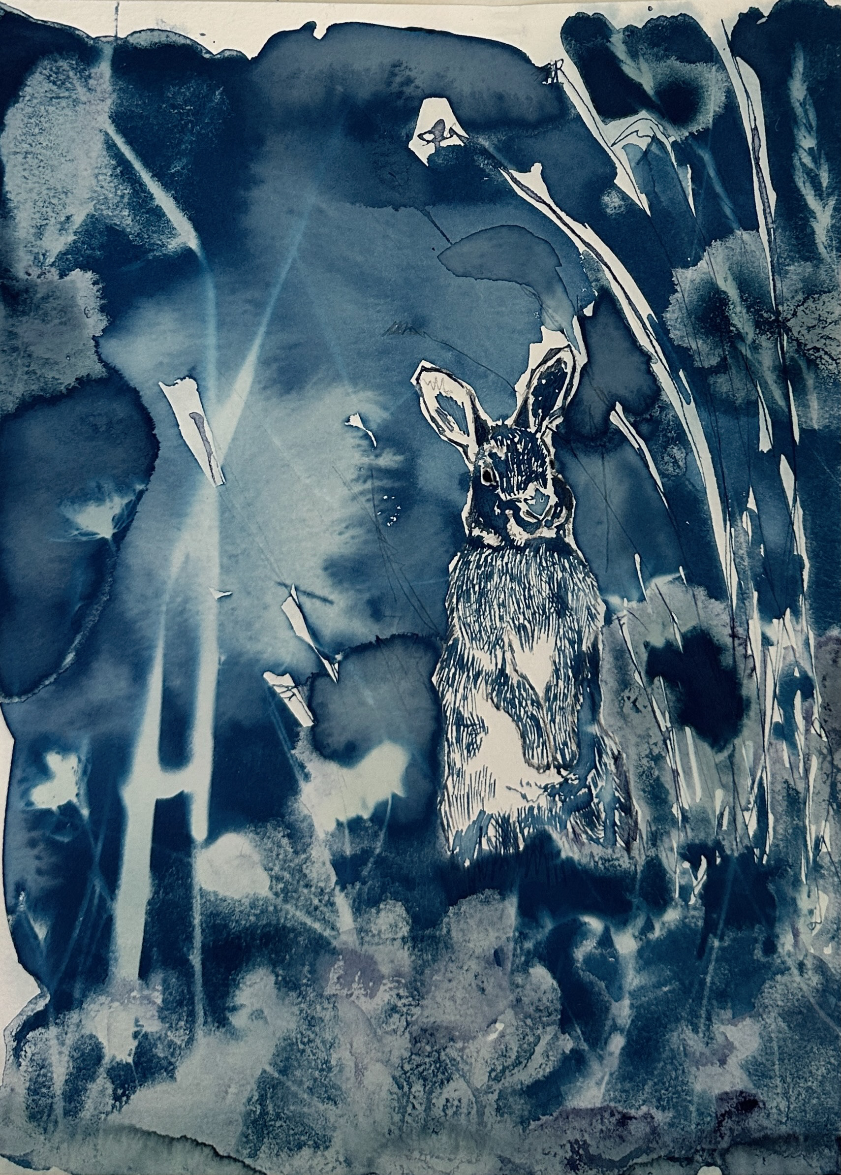 Cyanotype Painting, Study 2025