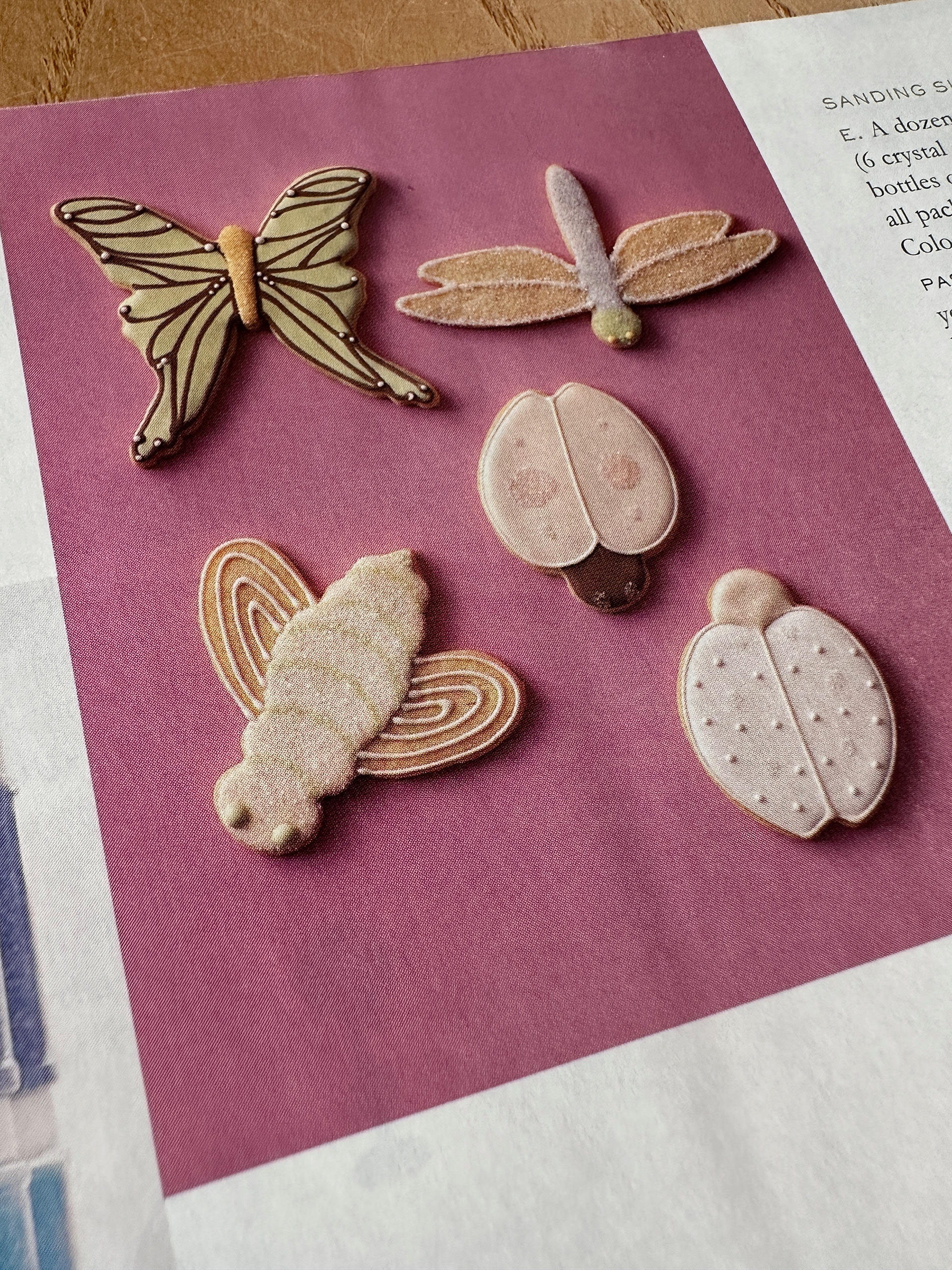 MBM Bugs Copper Cookie Cutters designed with Michael Bonne