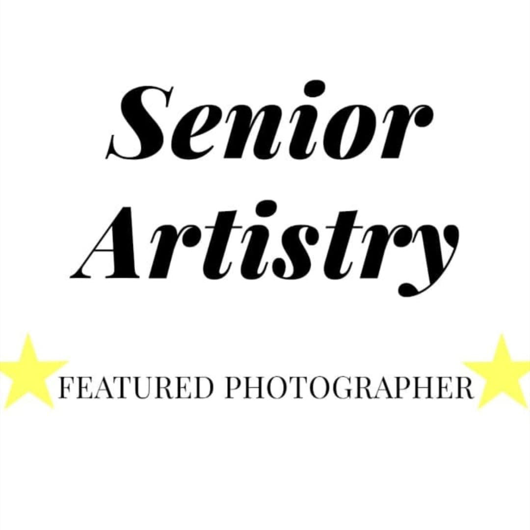 https://www.instagram.com/seniorartistry/