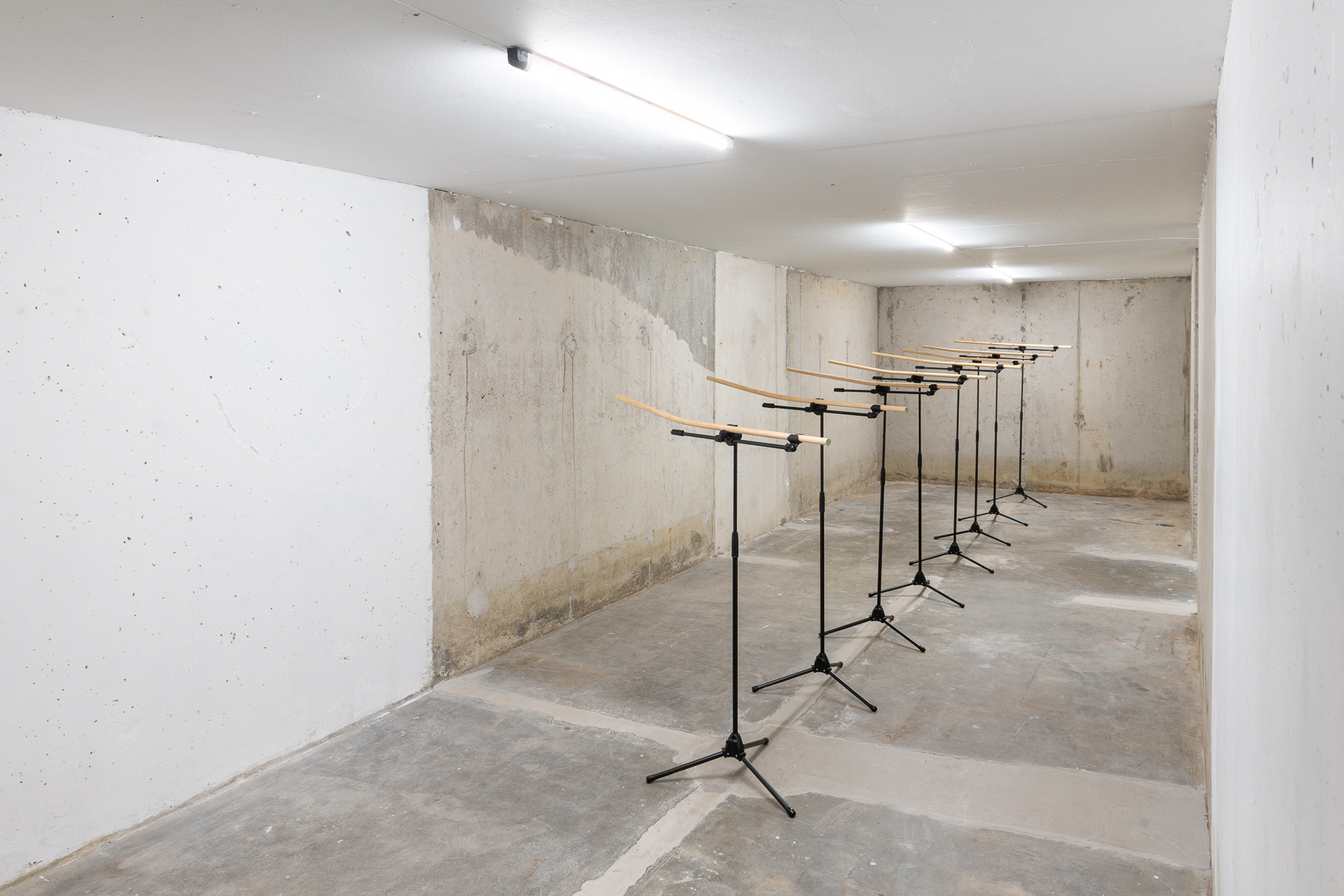 "Inclinations", installation overview. Tale of a Tub, Rotterdam. 2022.