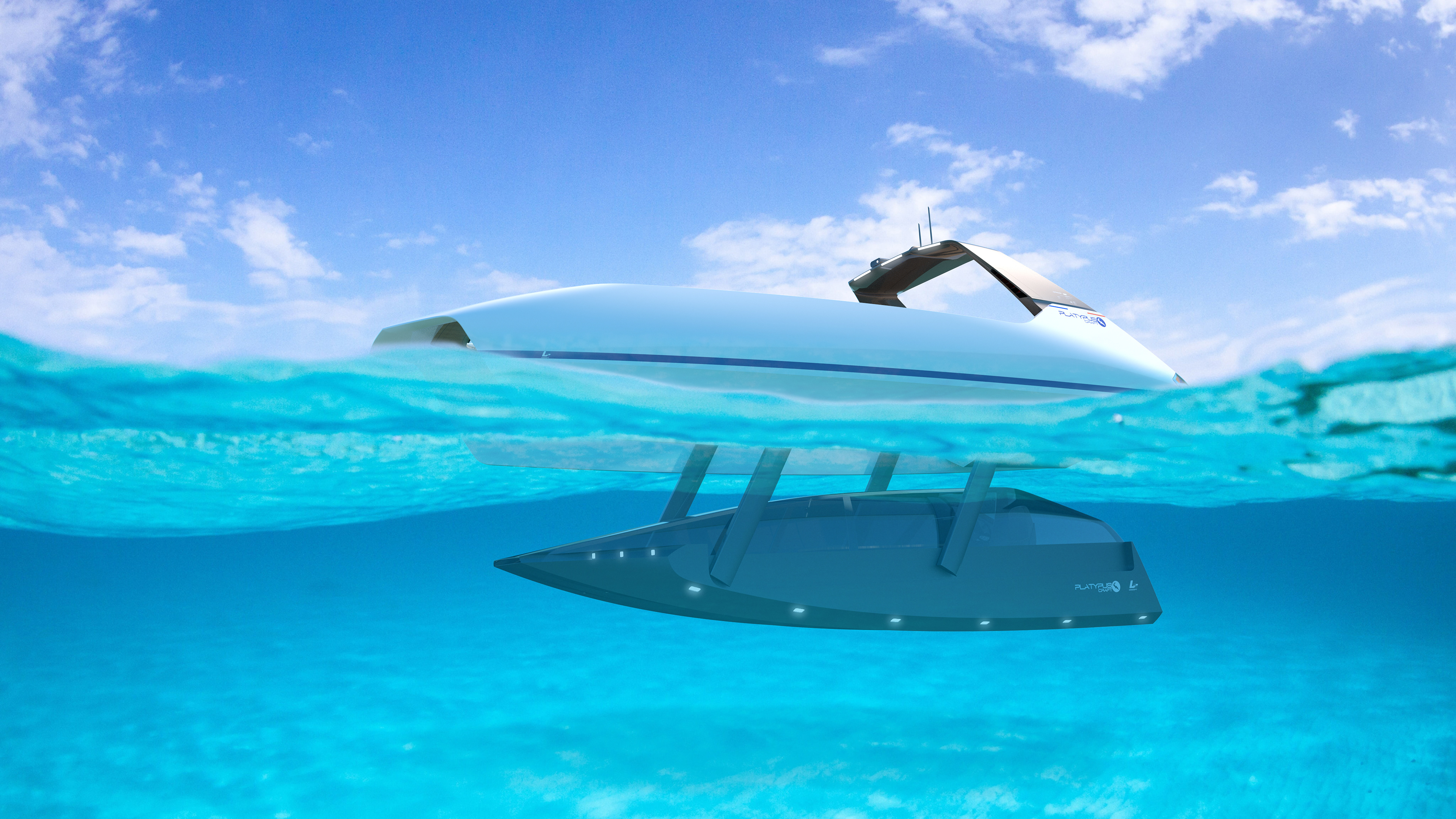 Platypus Craft / Swordfish 40