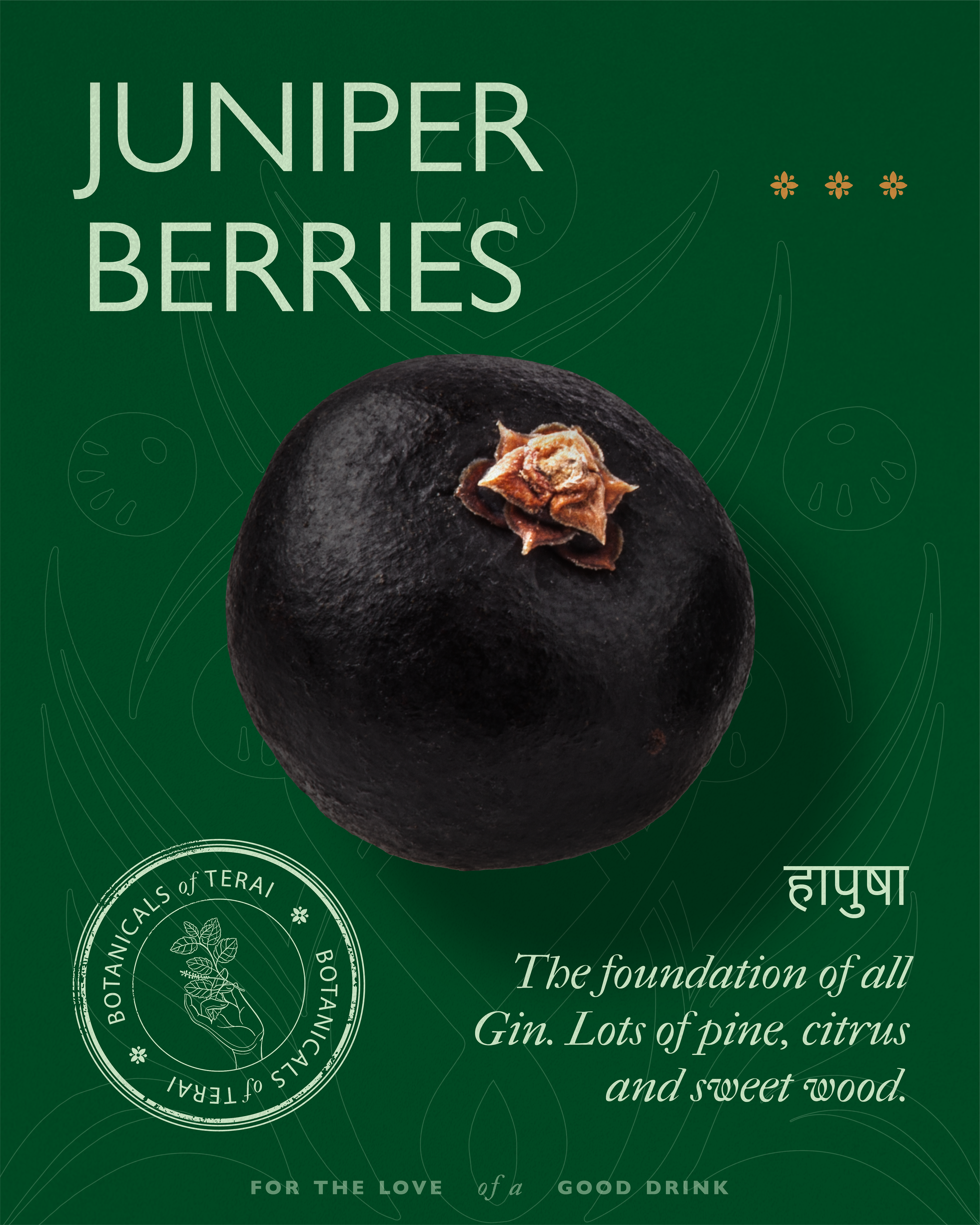 Botanical Posts for TERAI's Botanicals