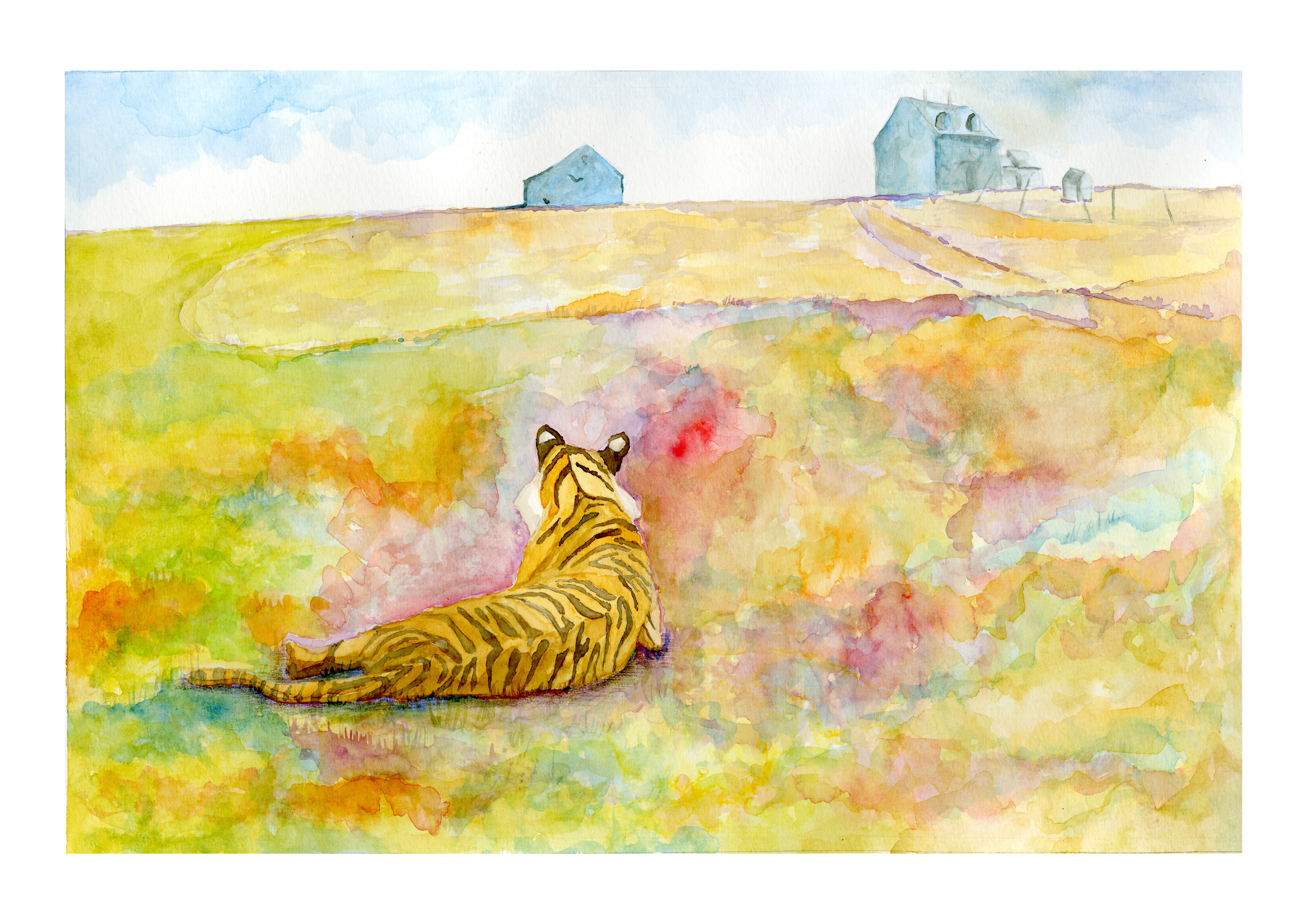 Tiger's World- a recreation of Christina's World by Andrew Wyeth
