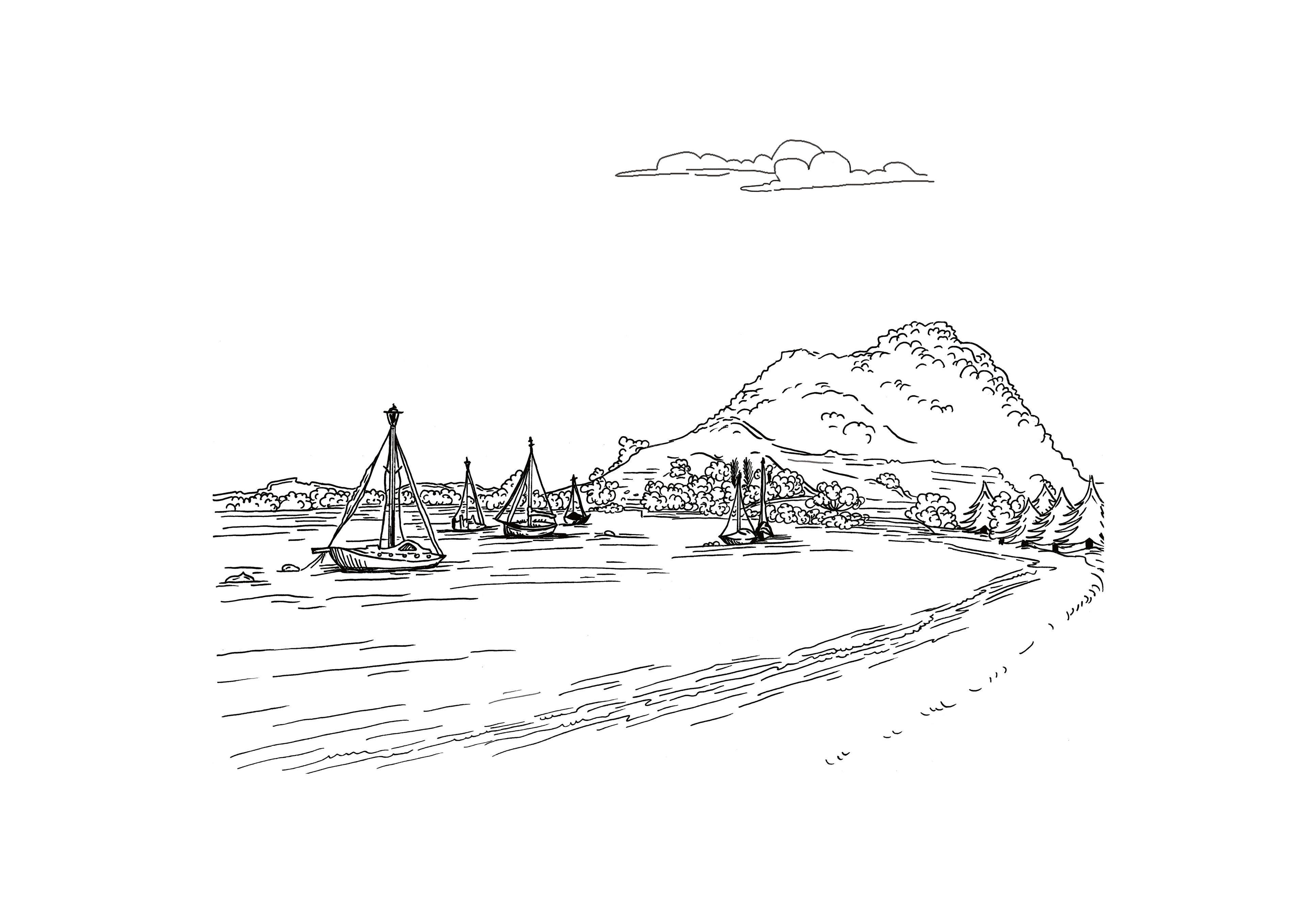 Pilot Bay in lines, Artist pens on paper, 2019