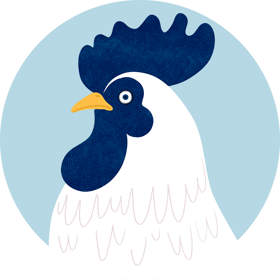 ajicocco