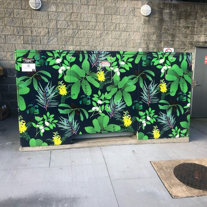 for the Green Walkable Street Art project in Ipswich, Qld., 2023