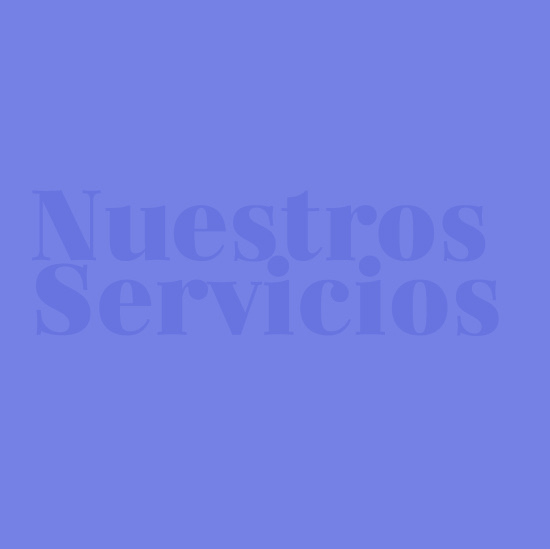 Nuestros Servicios