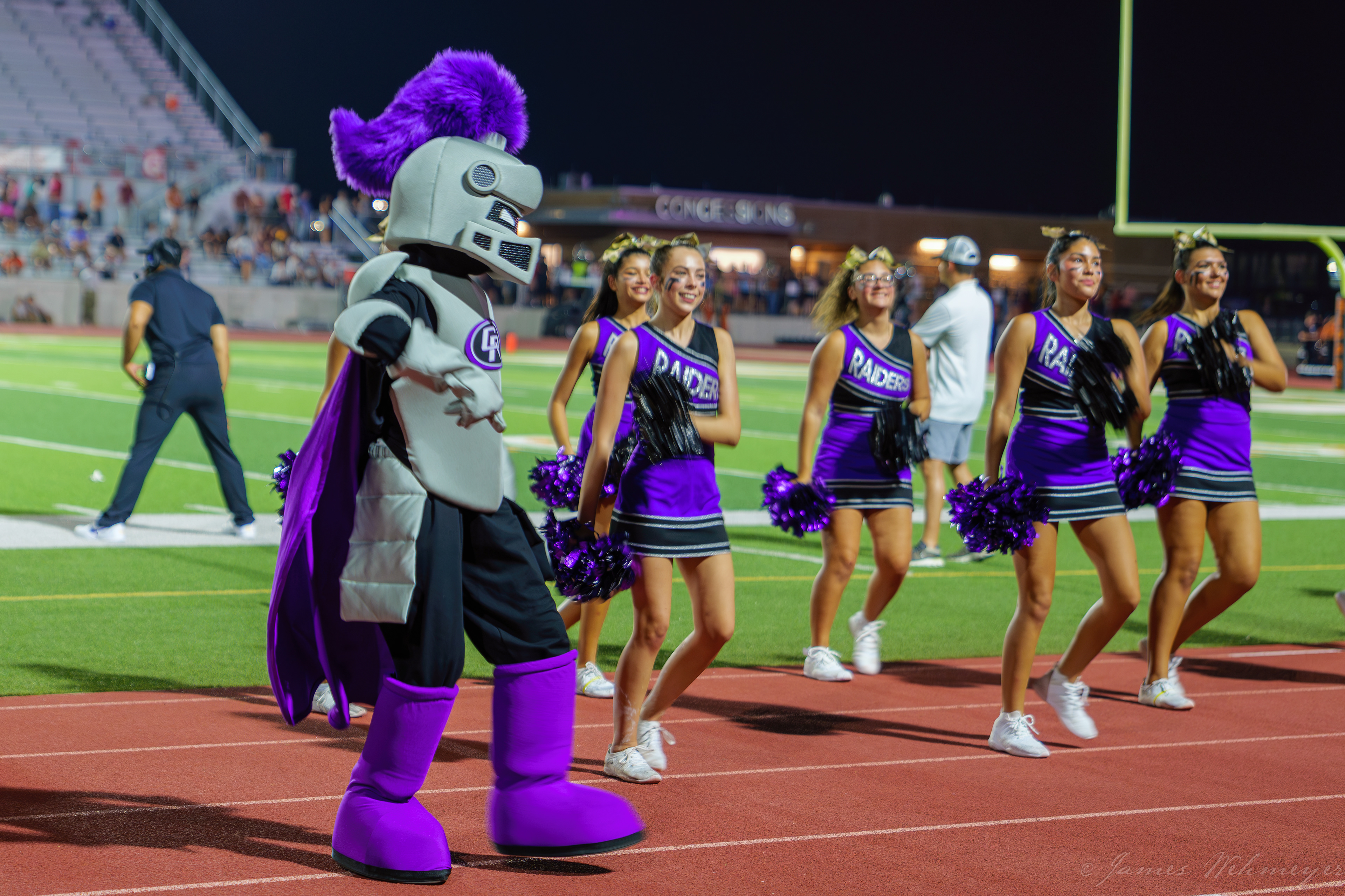 Fundraising gold mine: Plush stuffed toy of raider - Somebody please make it and just take my money.