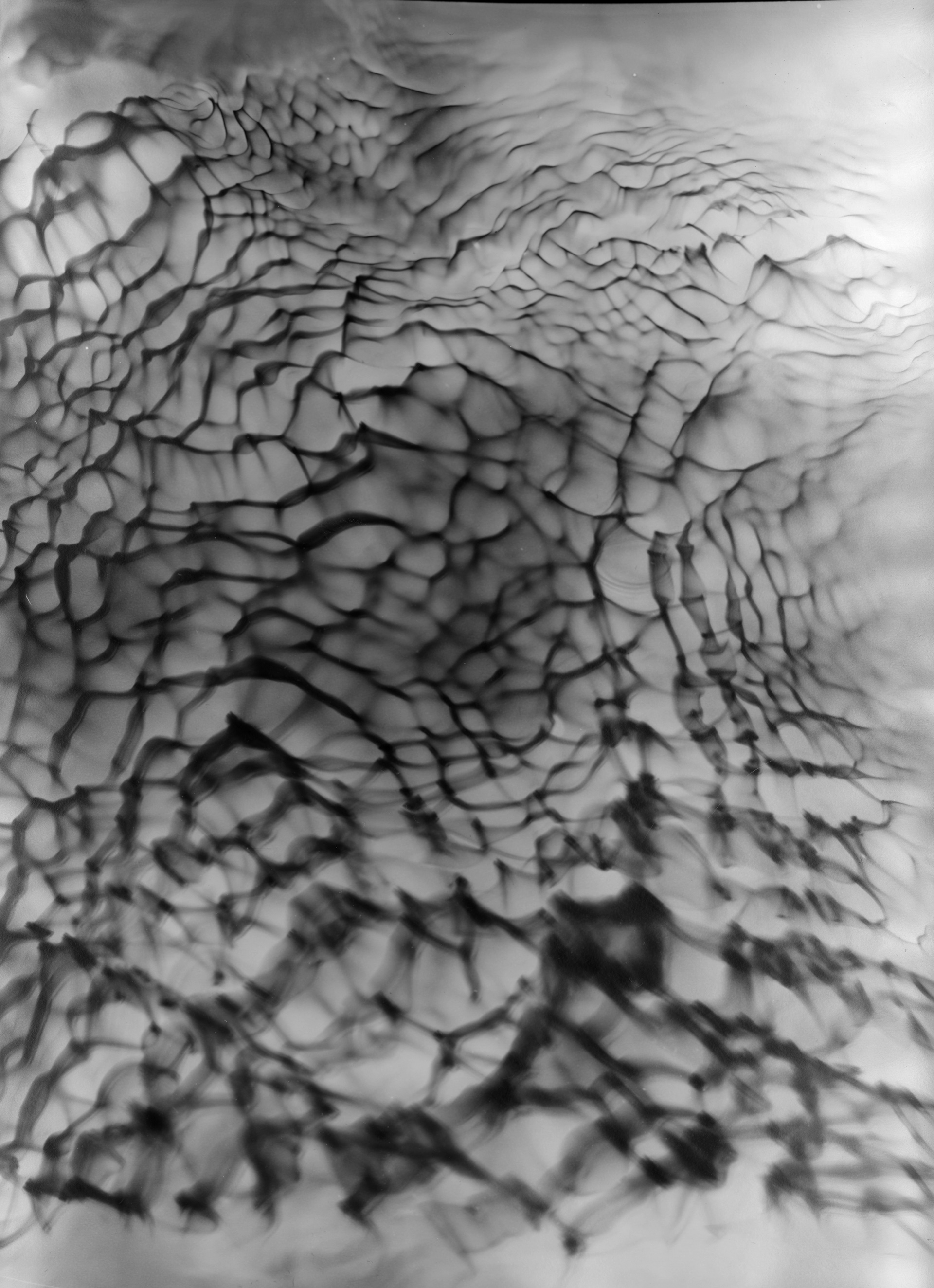 42°38’27.’’N 9°00’53.0’’E, série des Ondes, 2023. Tirage argentique noir et blanc sur papier Ilford Ilford MG FB Multigrade cooltone, à partir d’un photogramme unique, 100 x 137 cm.
