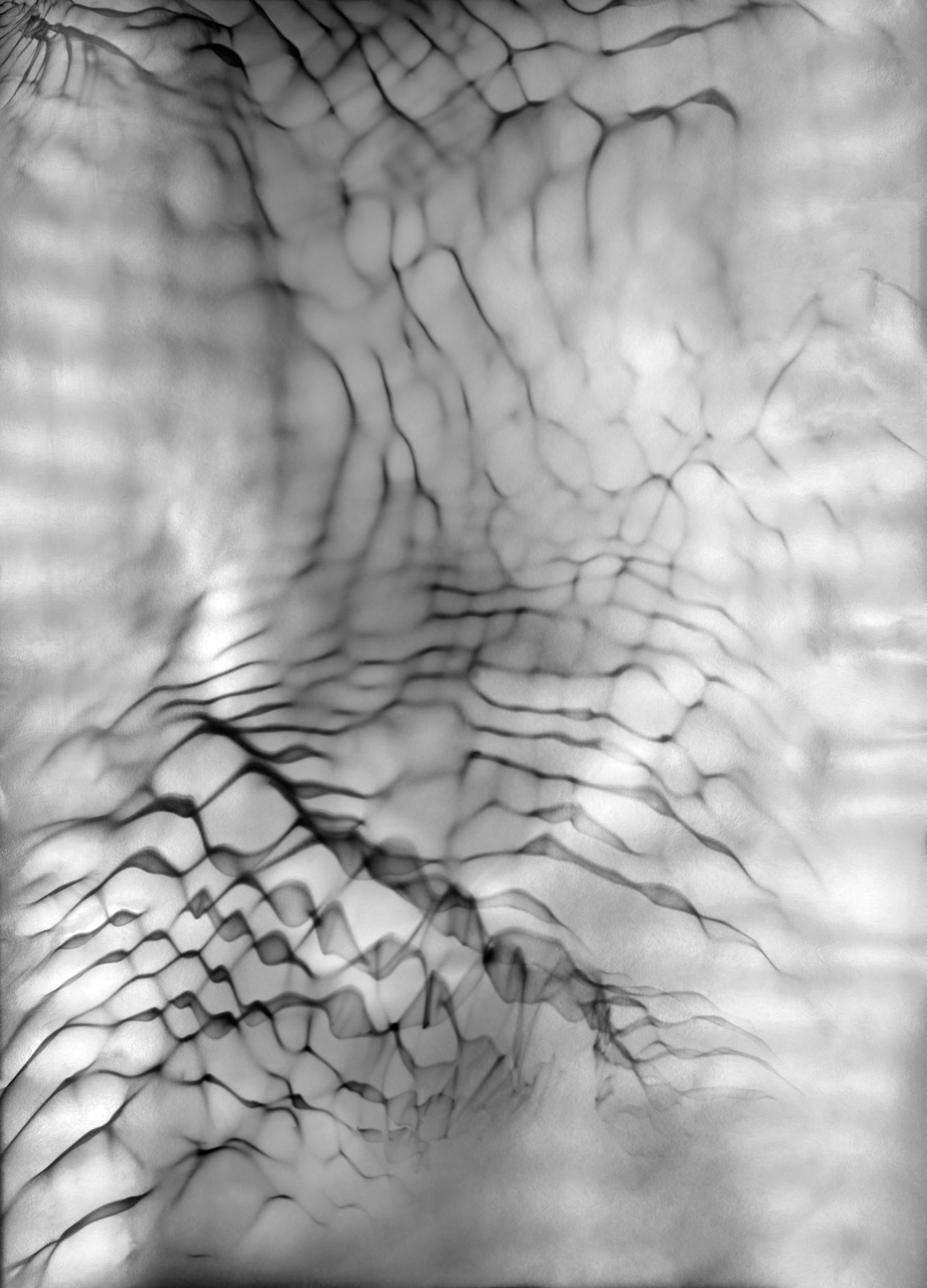 48°46’49.1’’N 2°35’55.9’’W, série des Ondes, 2023. Tirage argentique noir et blanc sur papier Ilford Ilford MG FB Multigrade cooltone, à partir d’un photogramme unique, 100 x 137 cm.