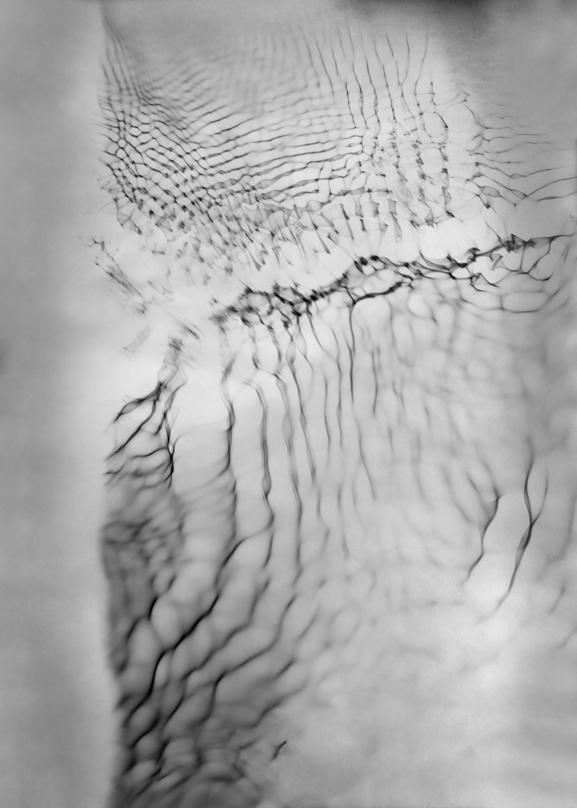 49°02’46.’’N 1°19’39.’’E, série des Ondes, 2023. Tirage argentique noir et blanc sur papier Ilford Ilford MG FB Multigrade cooltone, à partir d’un photogramme unique, 100 x 137 cm.