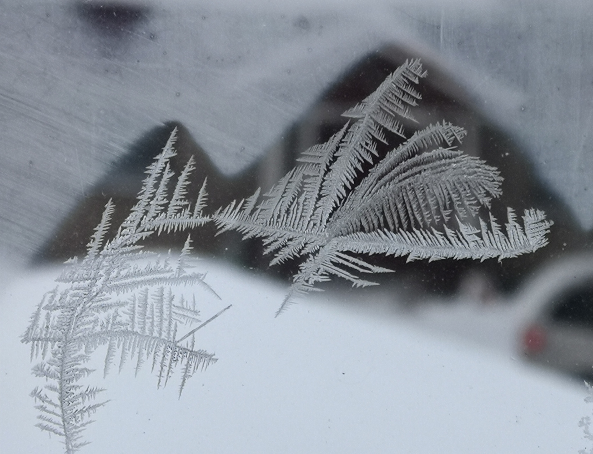 Jaana Pennanen: Talven taidetta