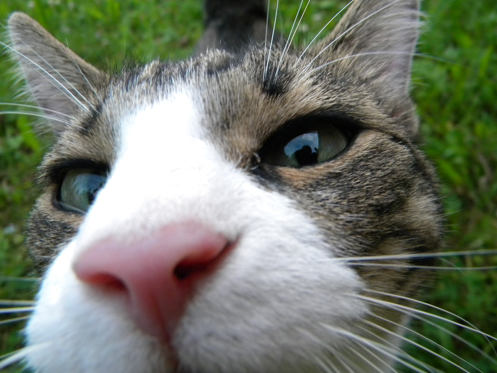 Leena Leskinen: Nuuh, nuuh