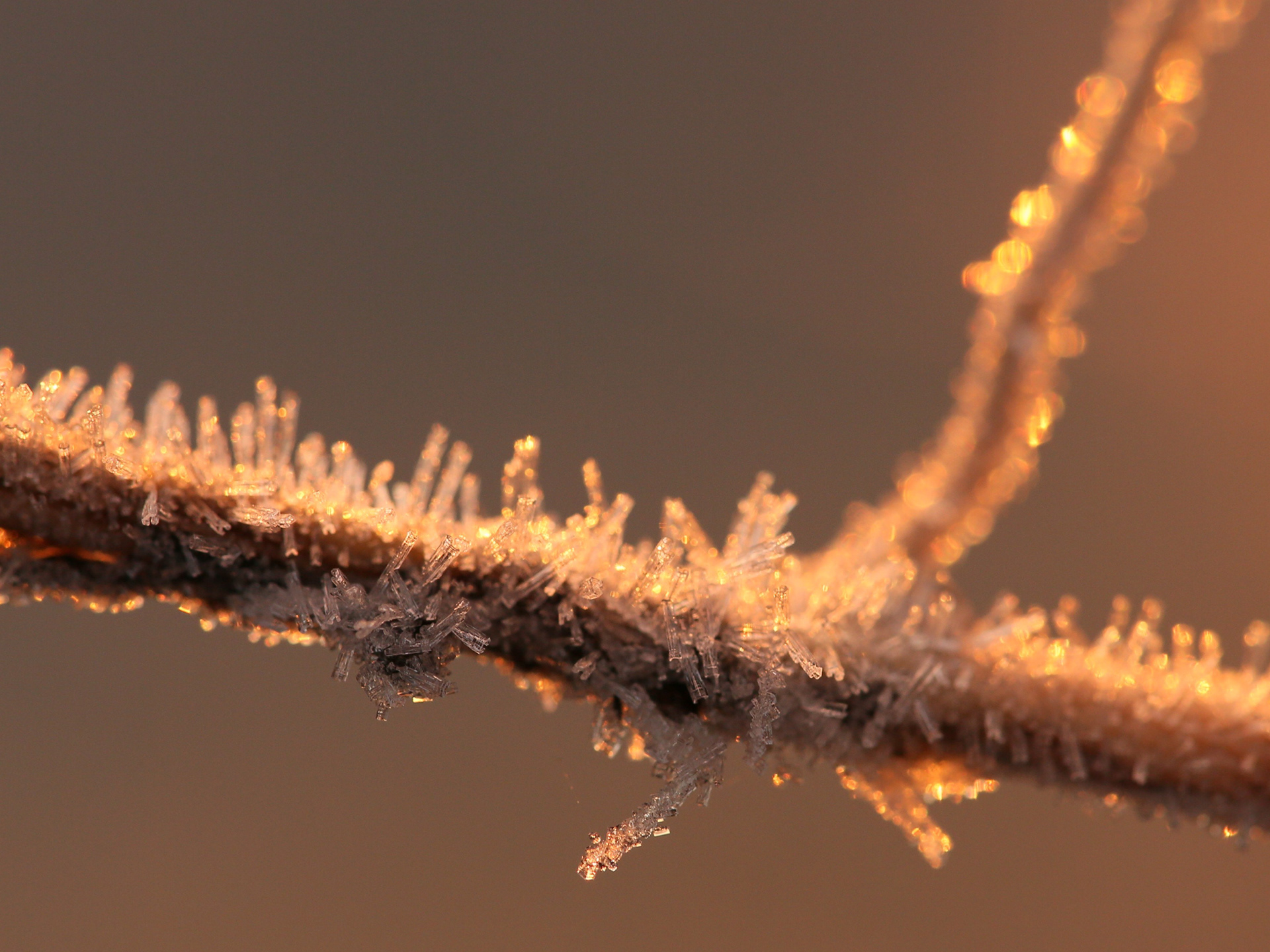 Riitta Kärkkäinen: Kimallusta