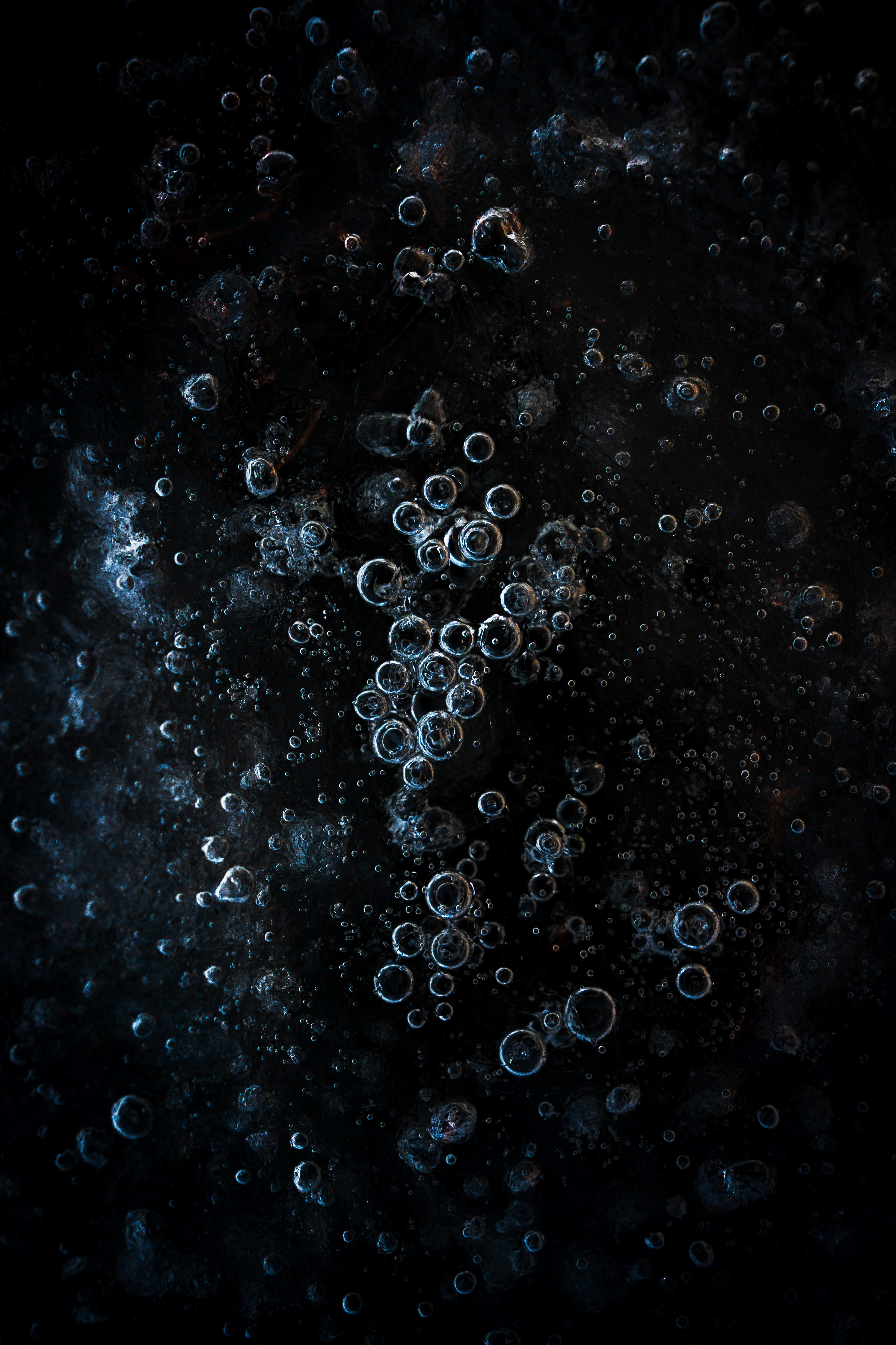 Jarkko Heinonen: Talven vangit