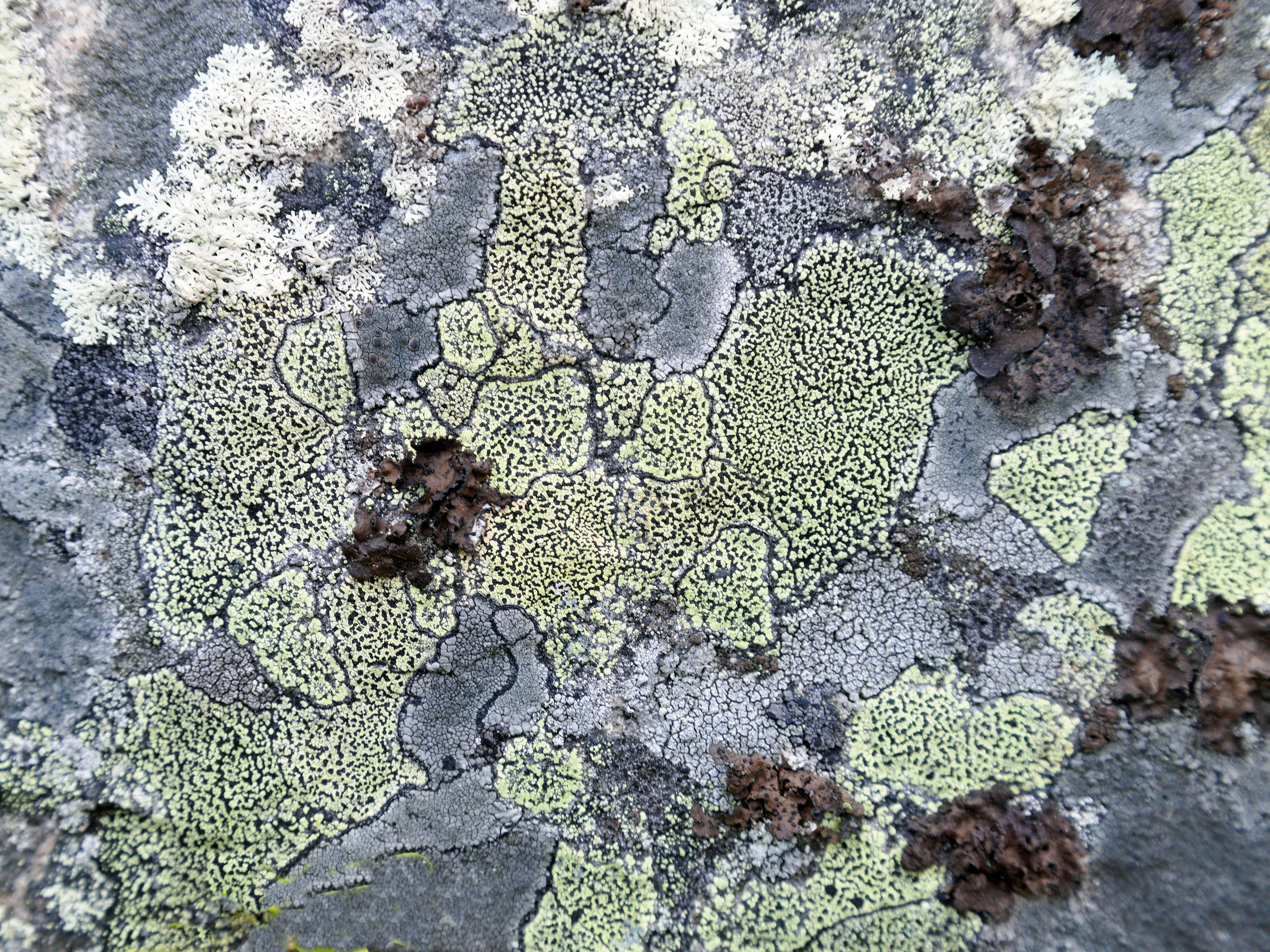 Pertti Hukkanen: Kuin kartta