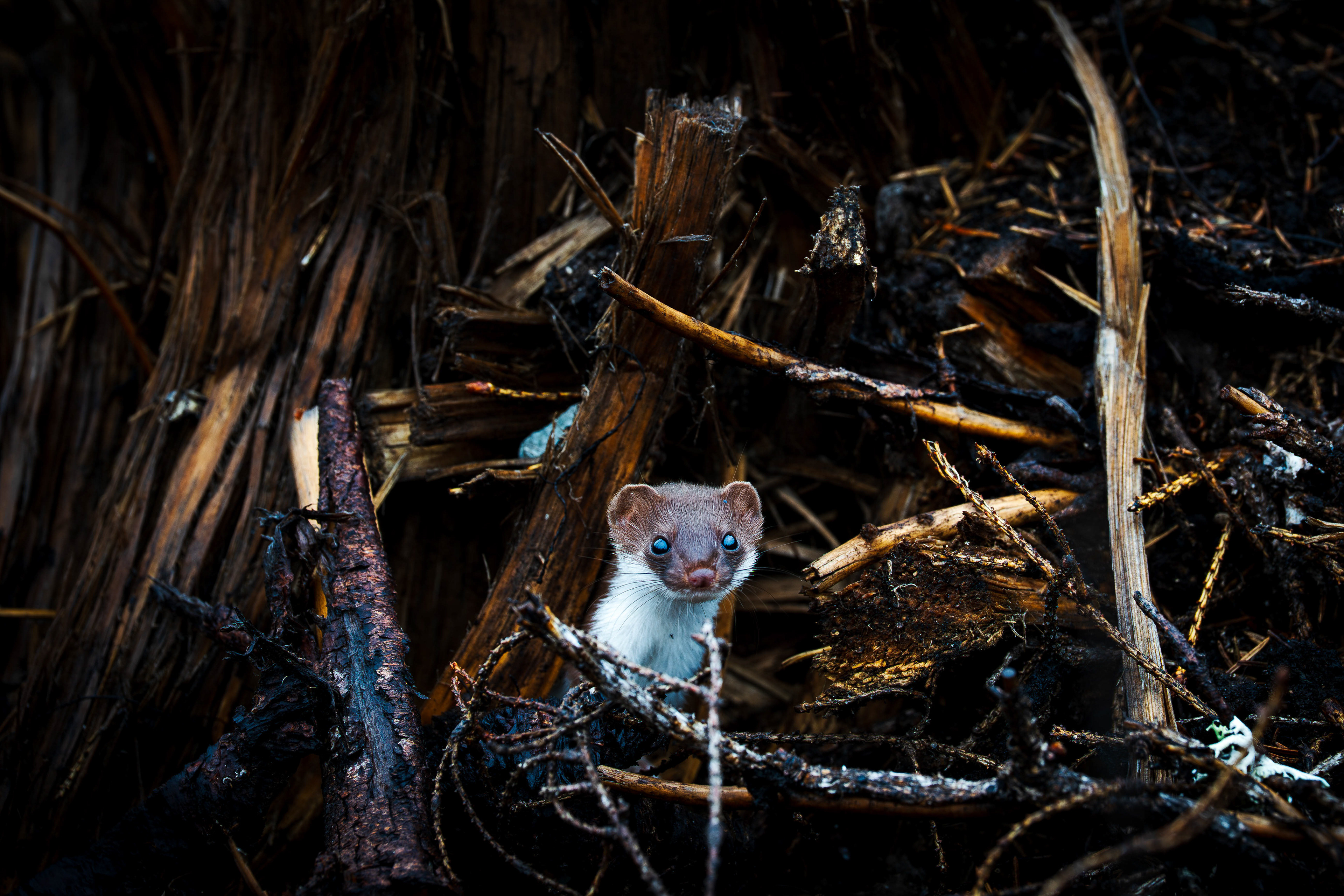 Jarkko Heinonen: Mutta kuka sinä olet?