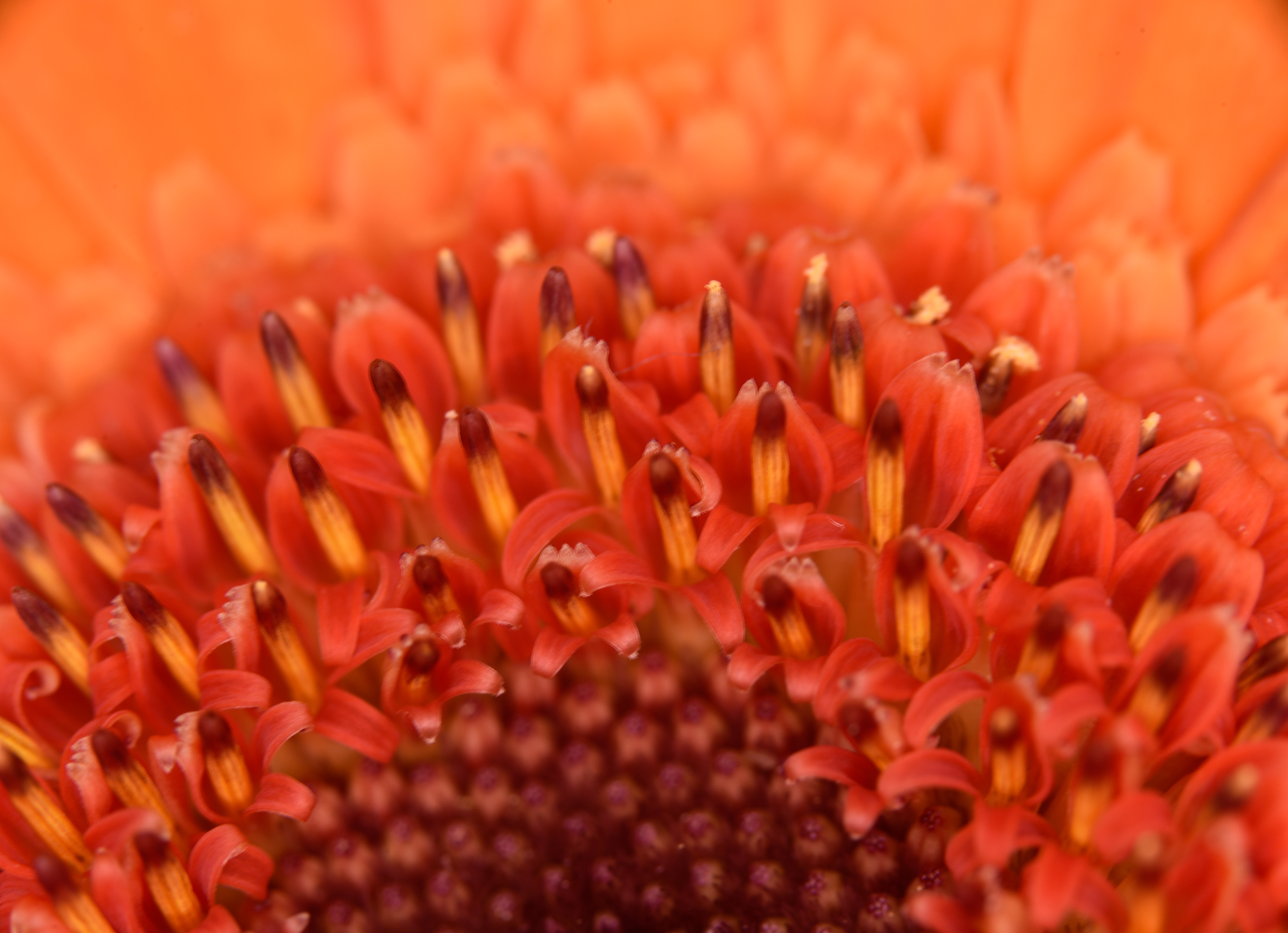 Jorma Kärkkäinen: Hetiö