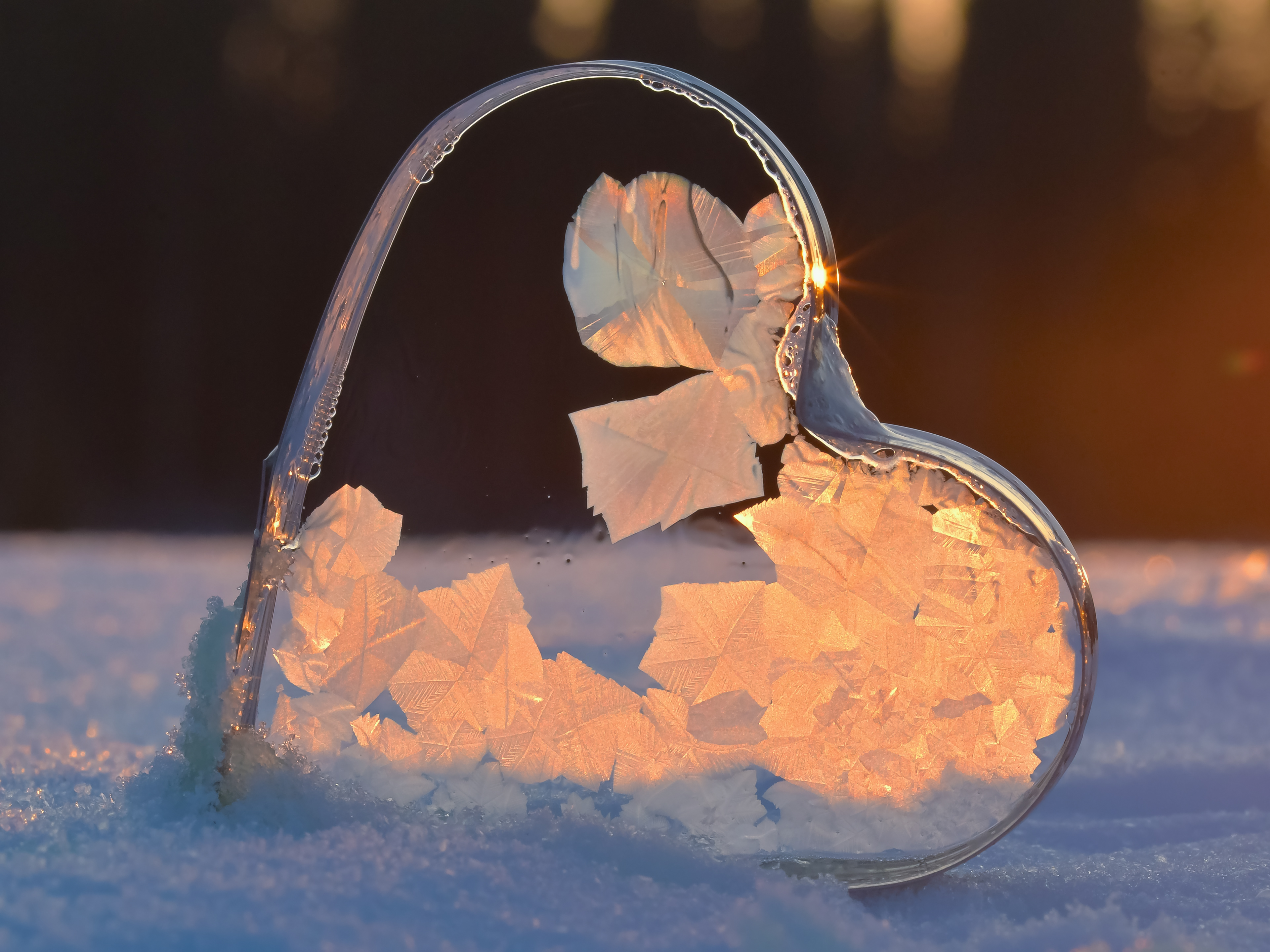 Ritva Pietikäinen: Jääsydän