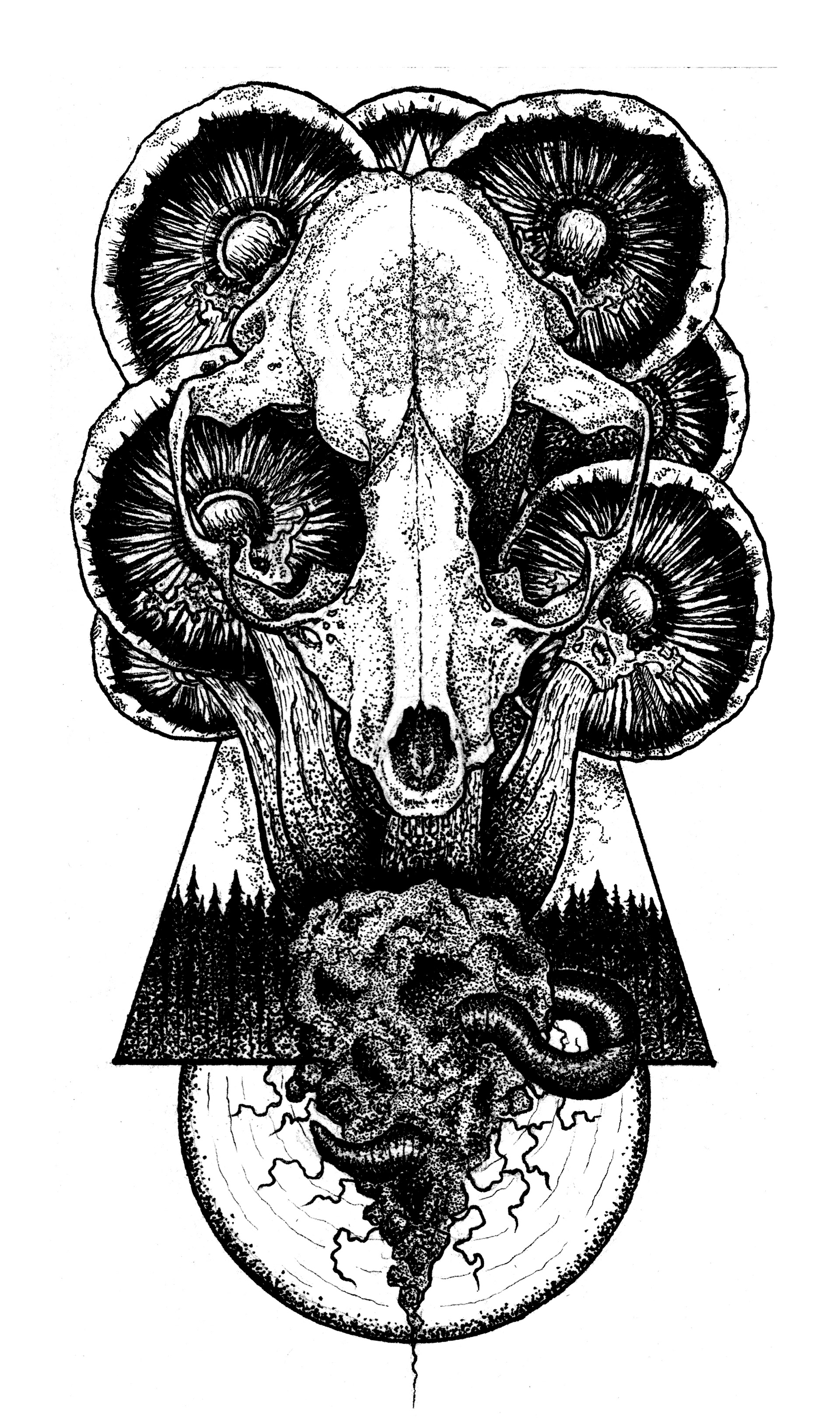 ELEMENTS OF THE FOREST