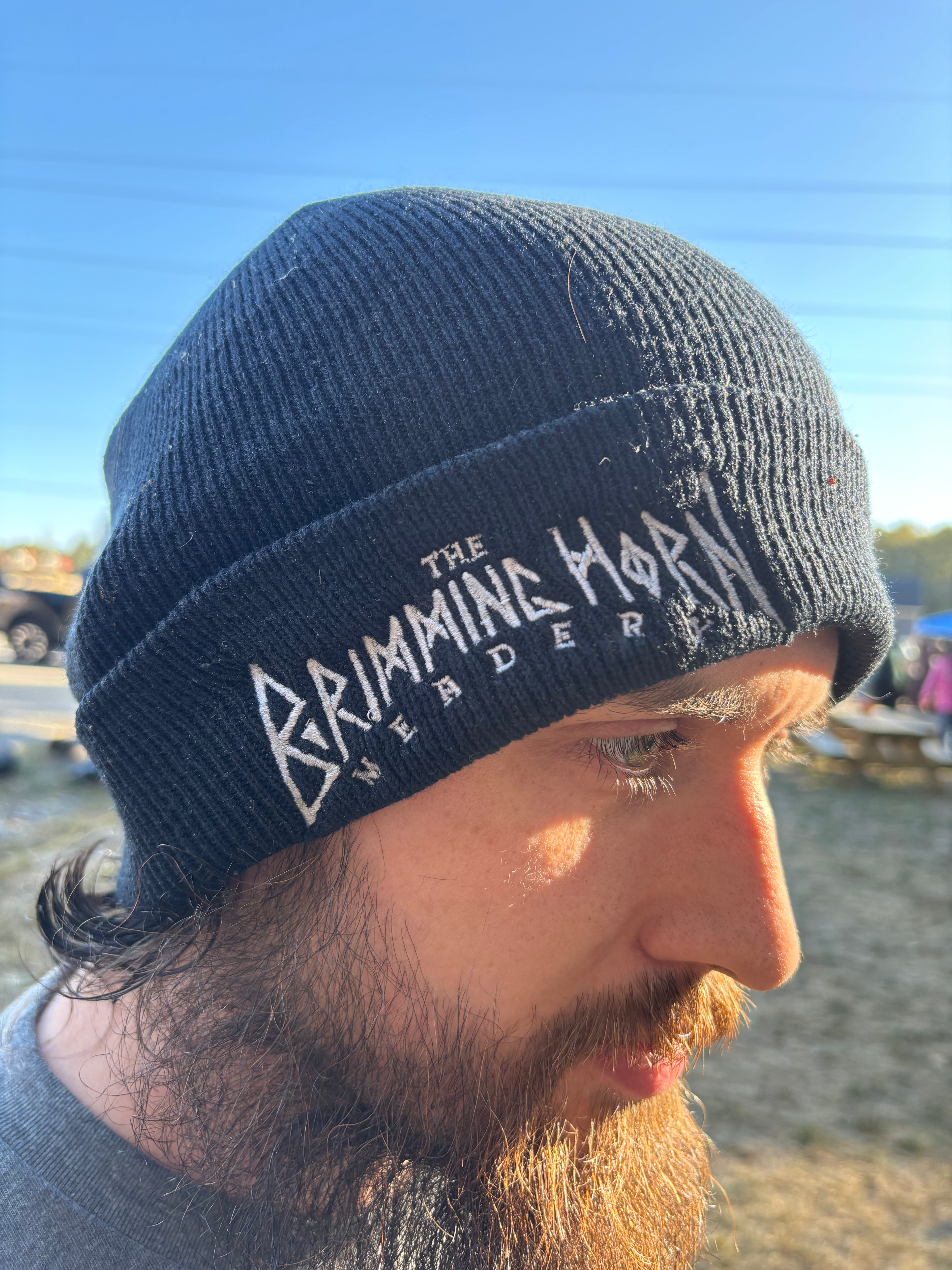 logo beanie