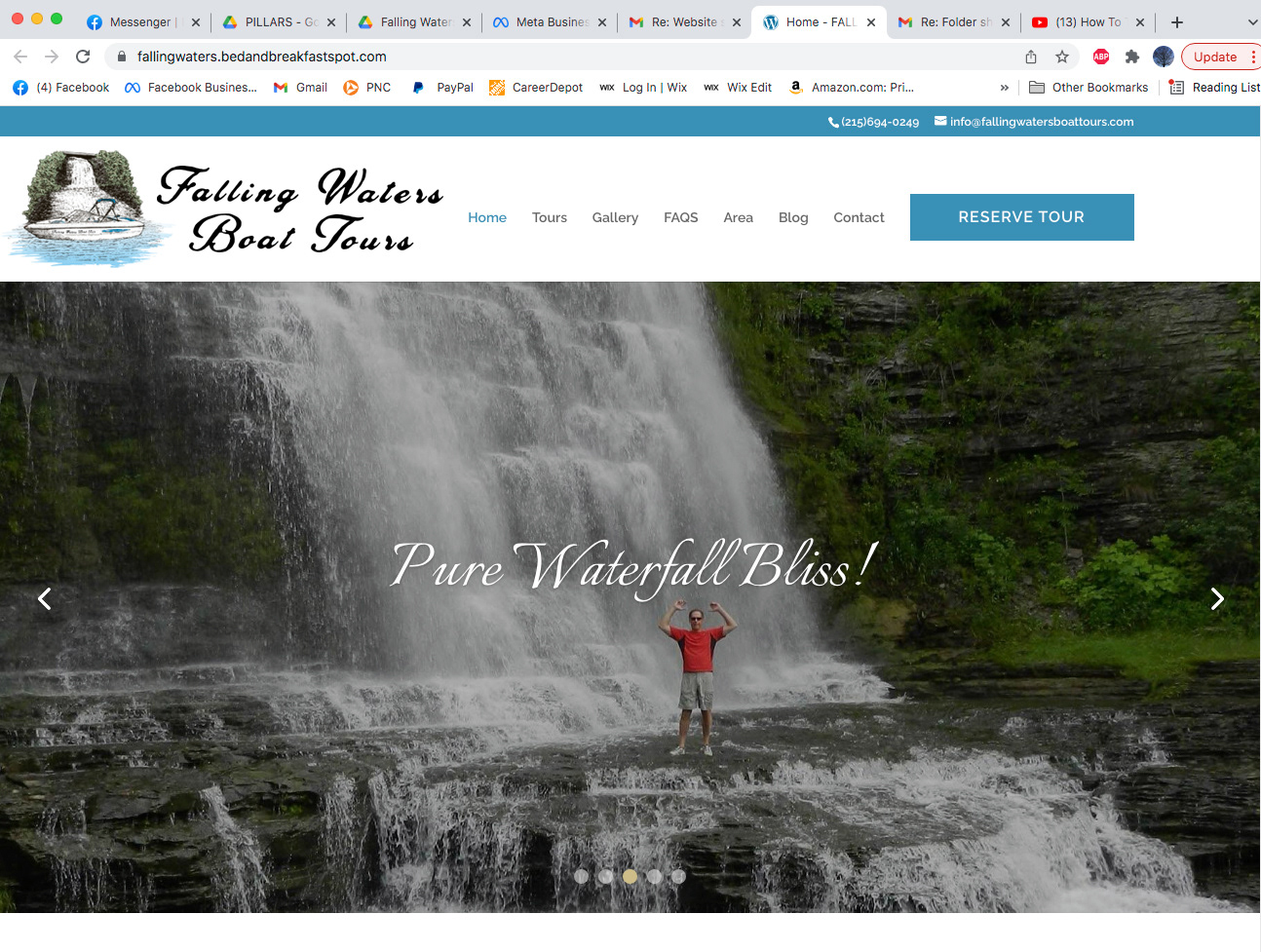 Screenshot of the website featuring one of my designs
