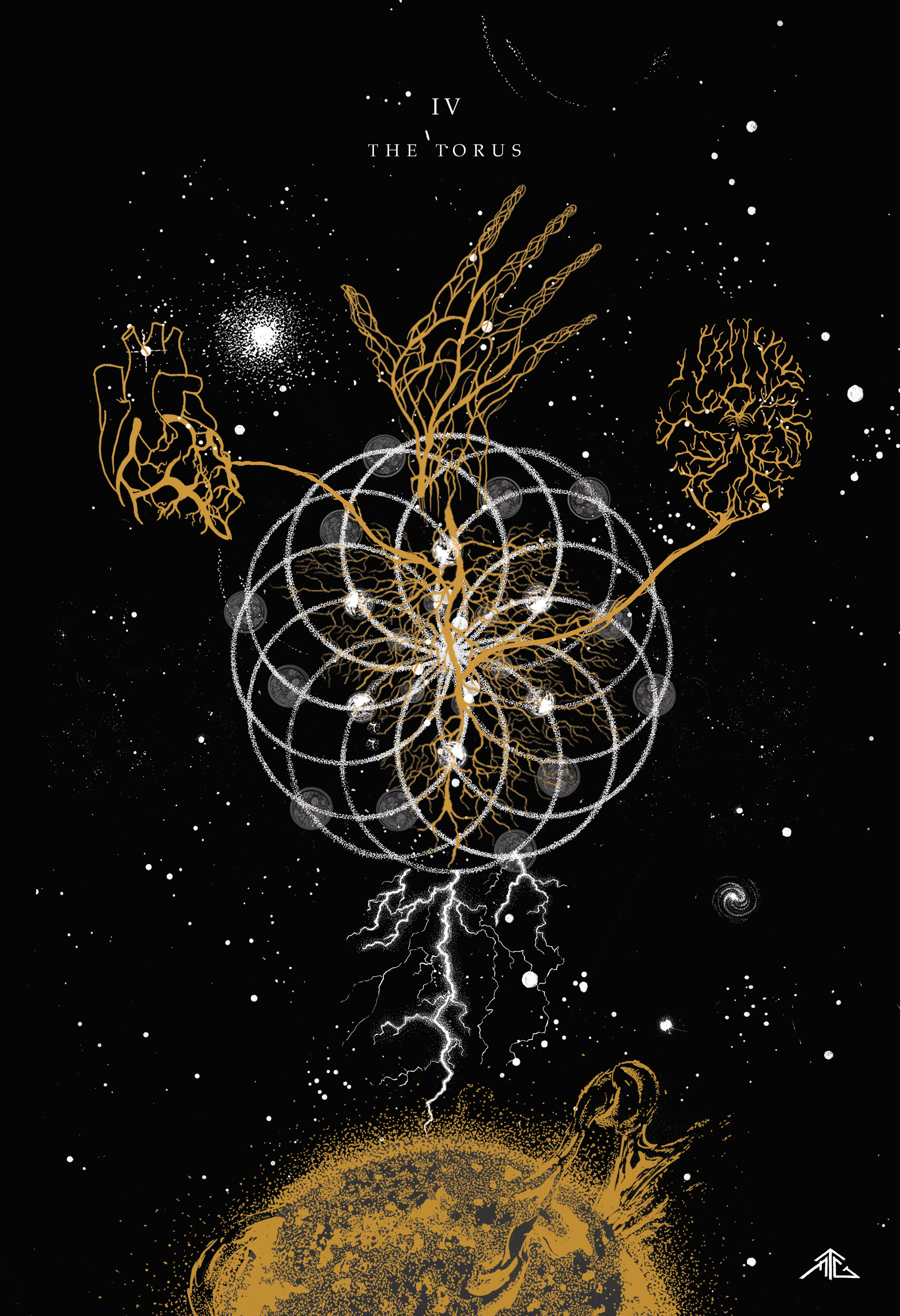 THE TORUS