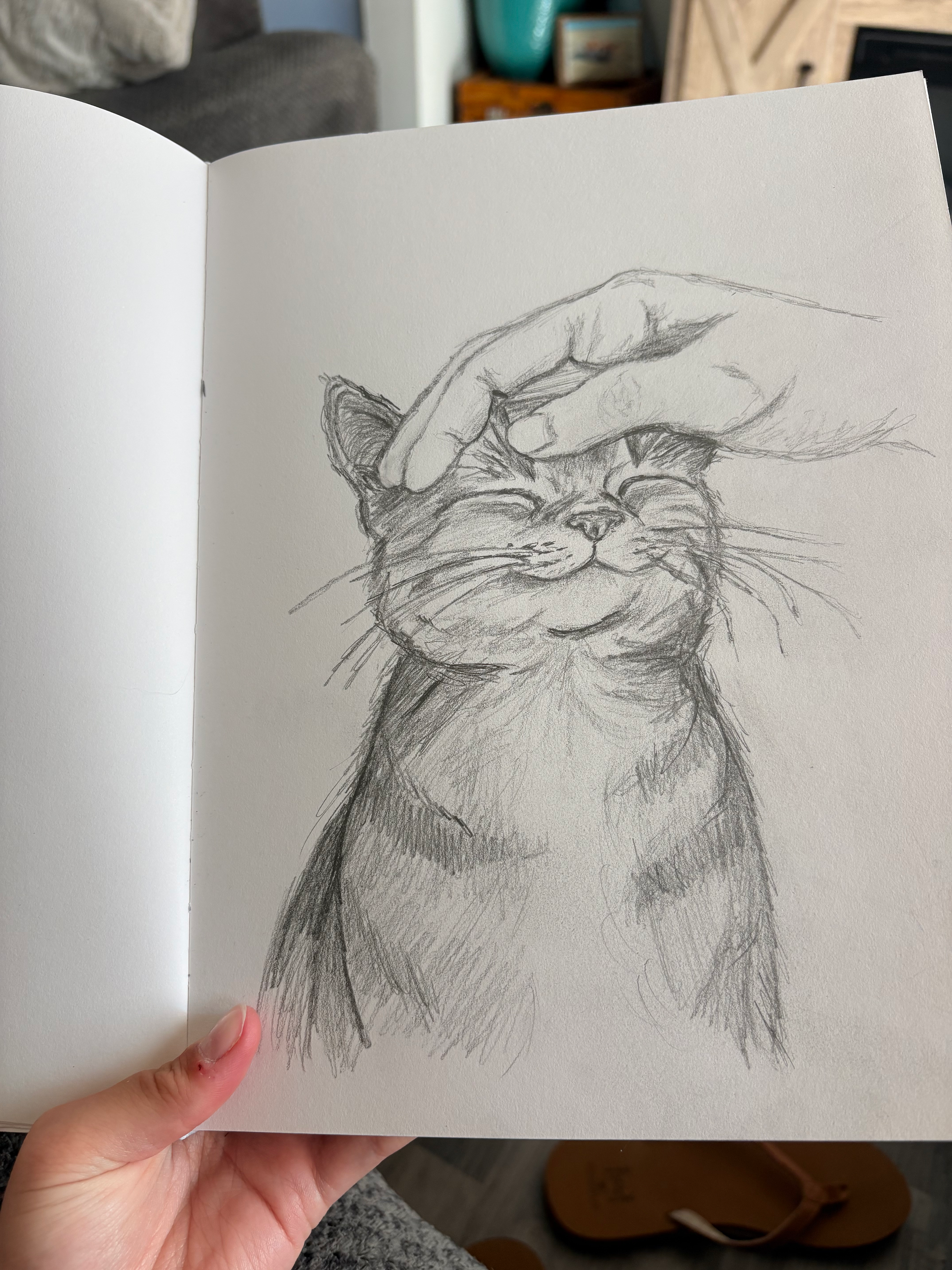 sketch