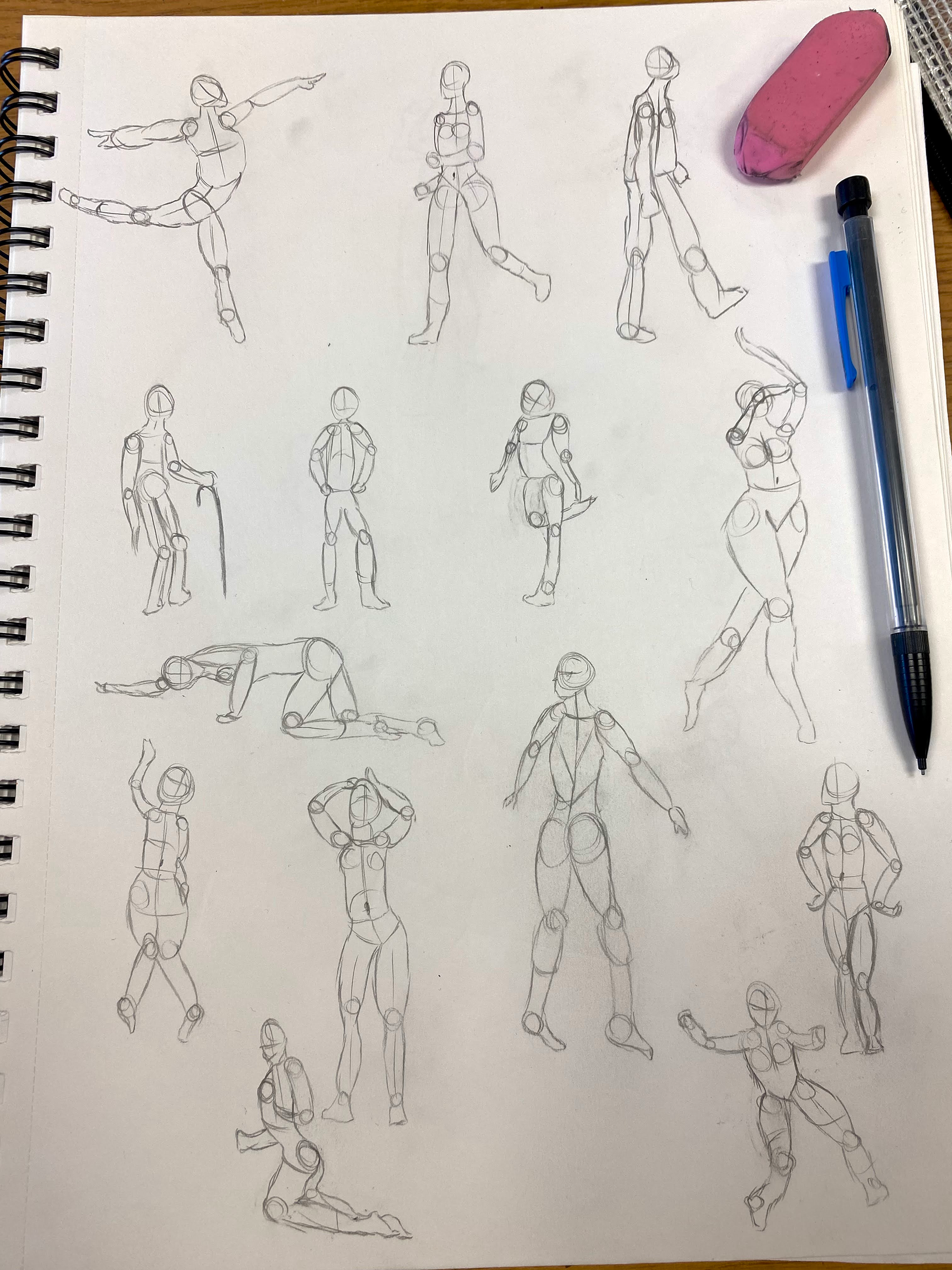 anatomy sketches