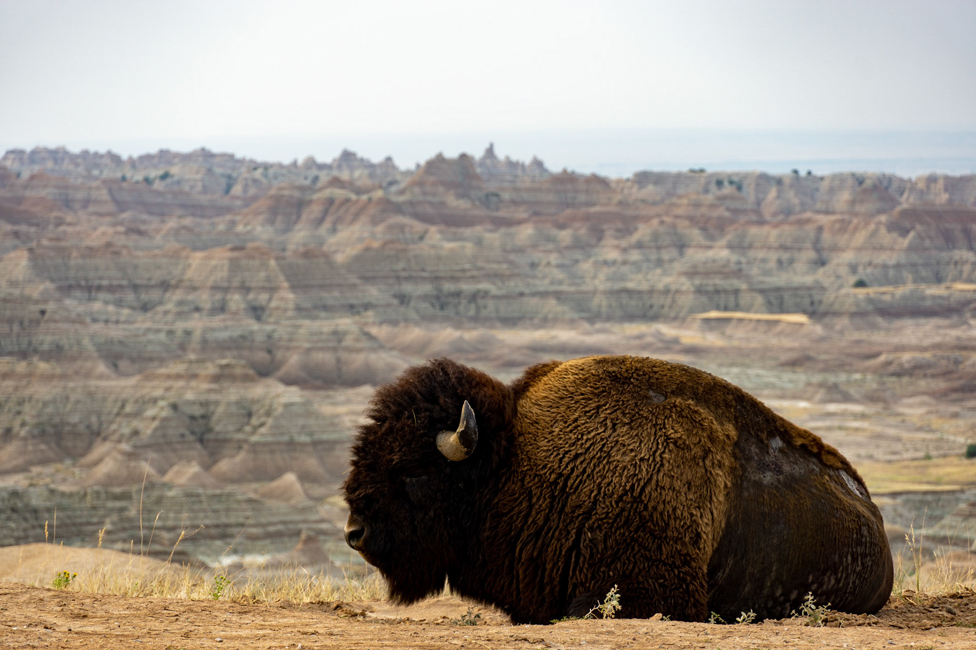 Badlands National Park