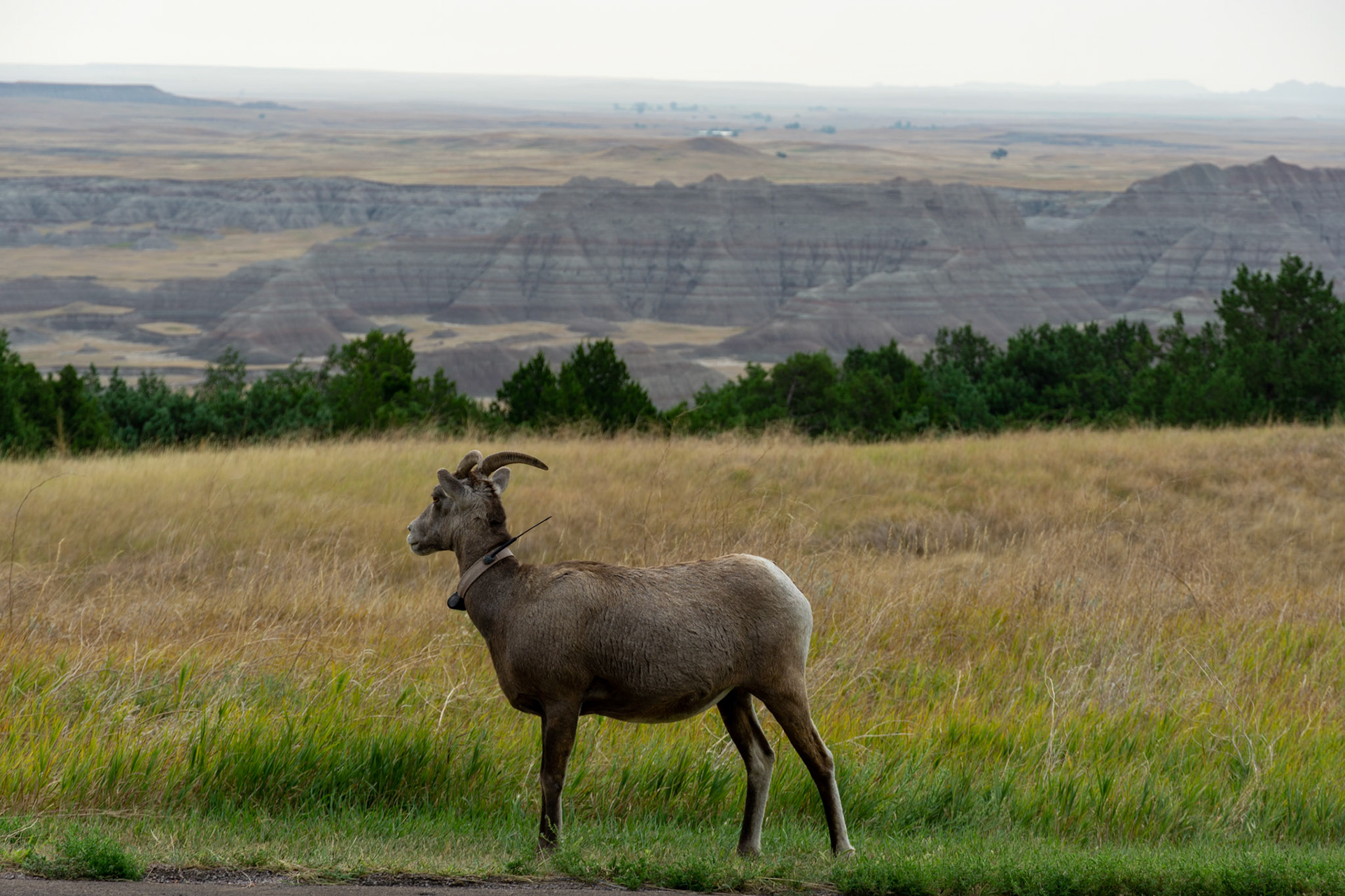 Badlands National Park