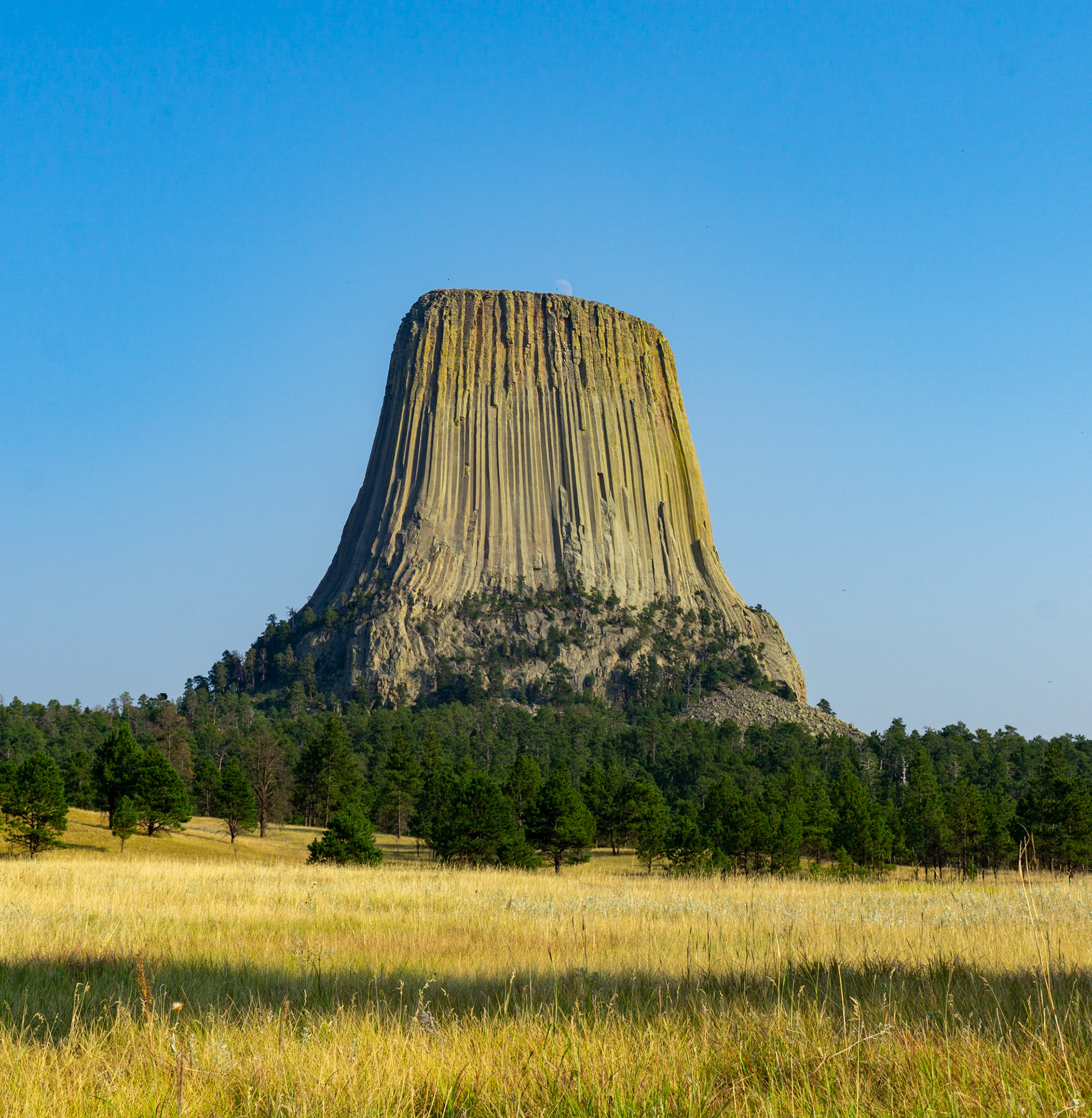 Devil's Tower