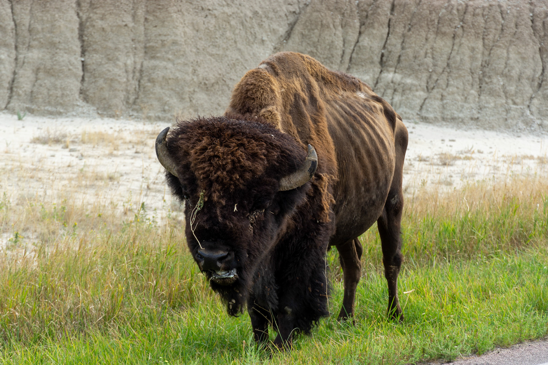 Badlands National Park