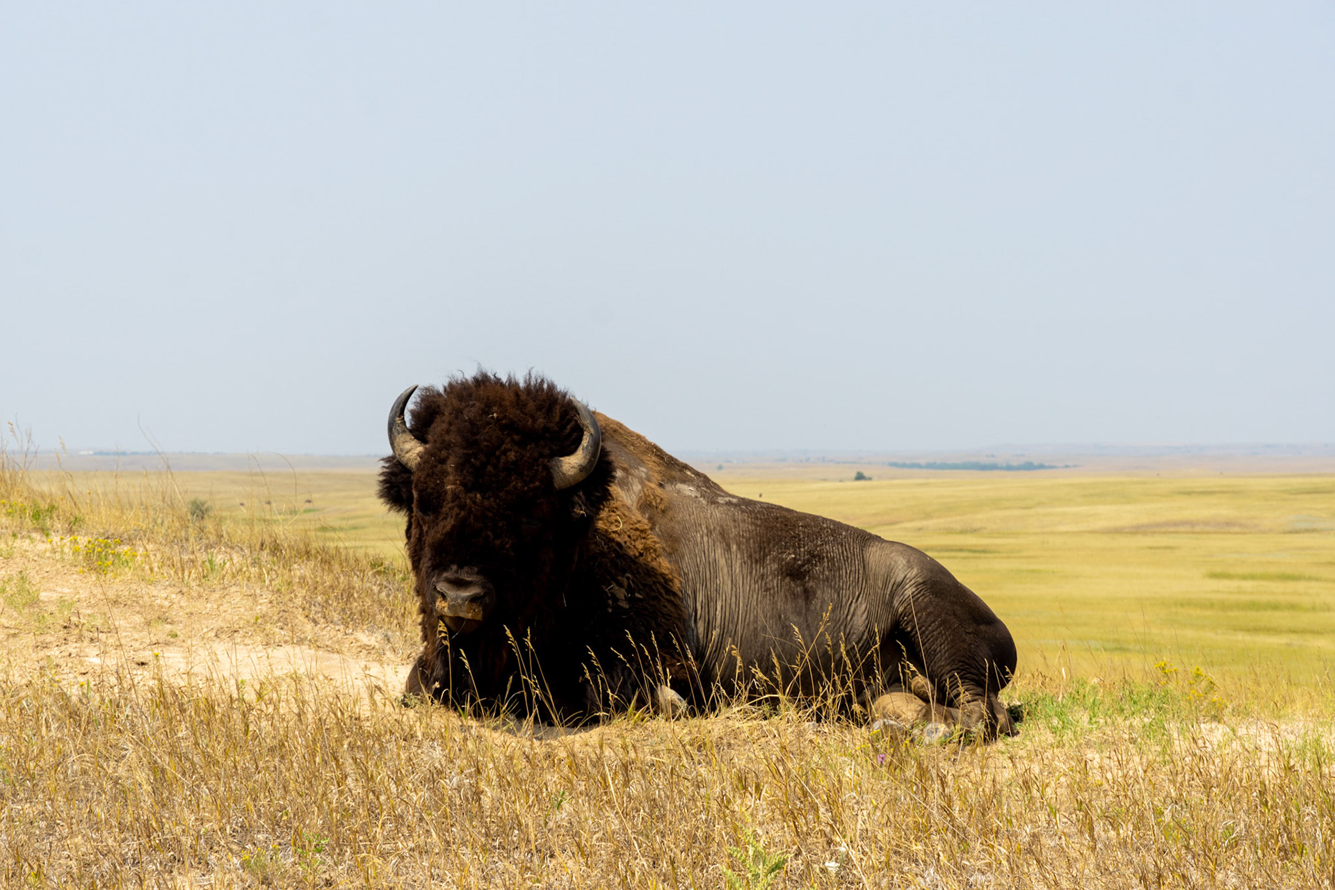 Badlands National Park