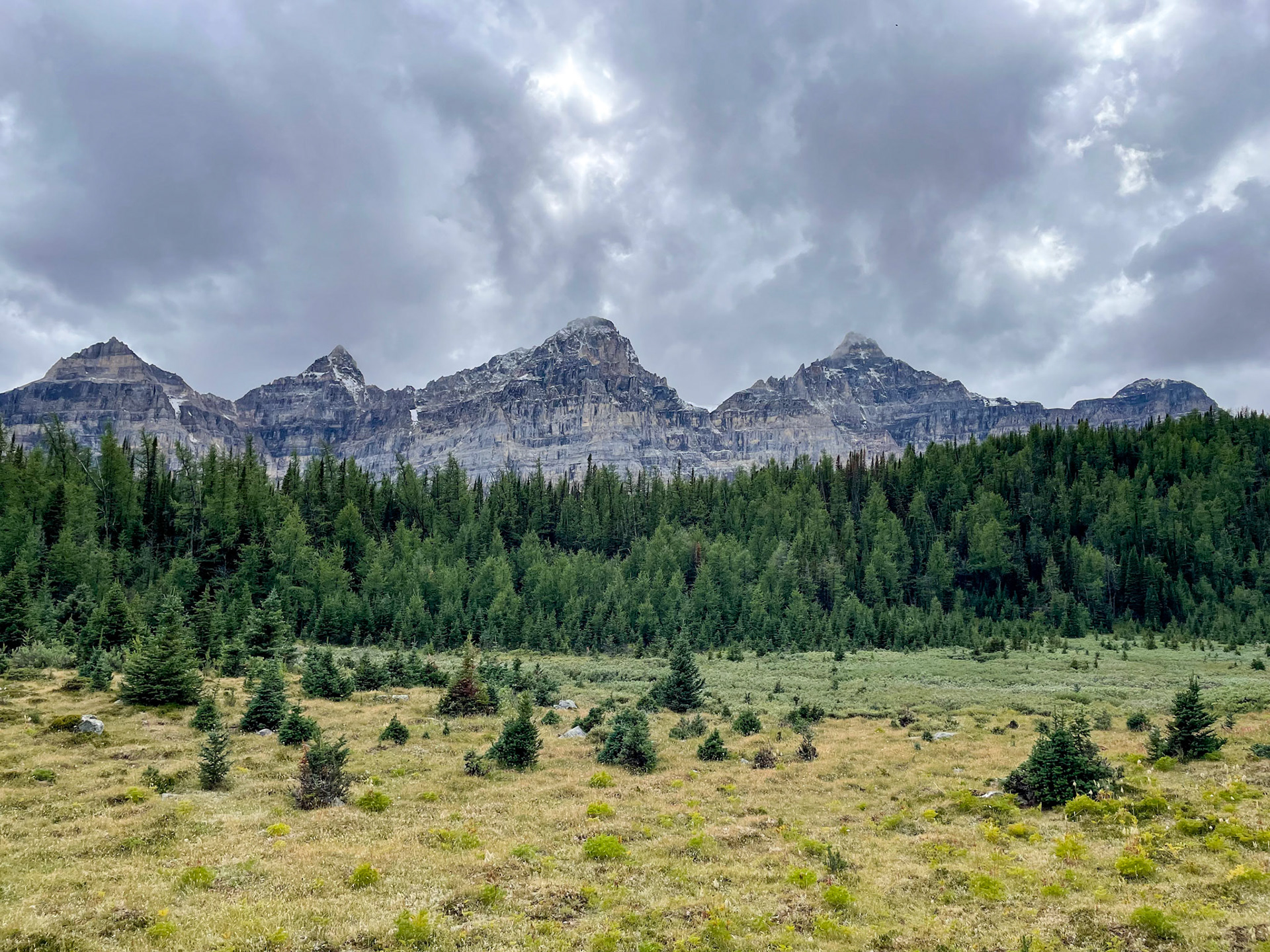 Larch Valley
