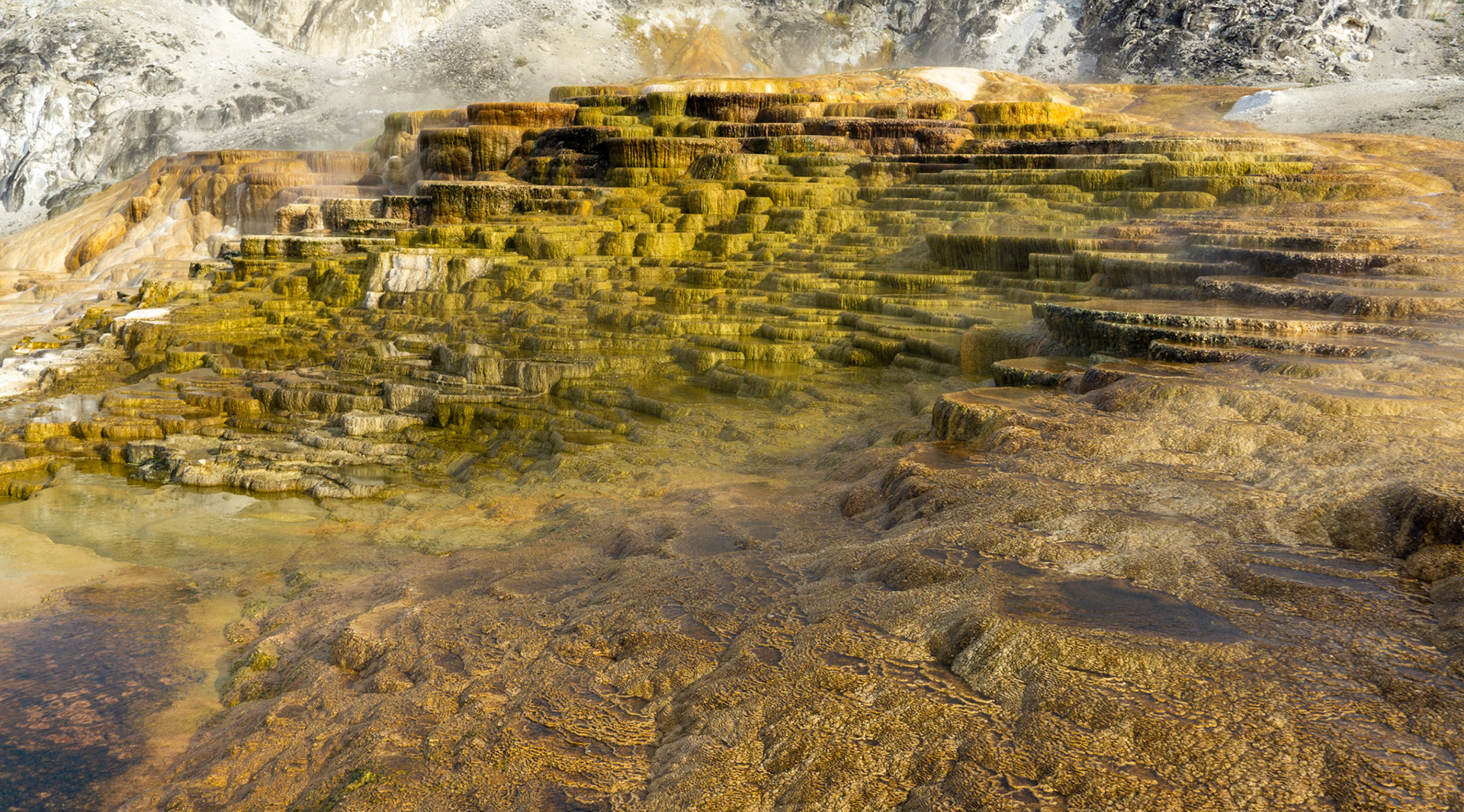 Mammoth Springs, Yellowstone