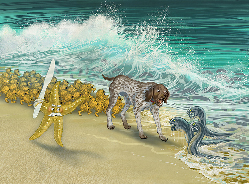 From Hidden Shoreline