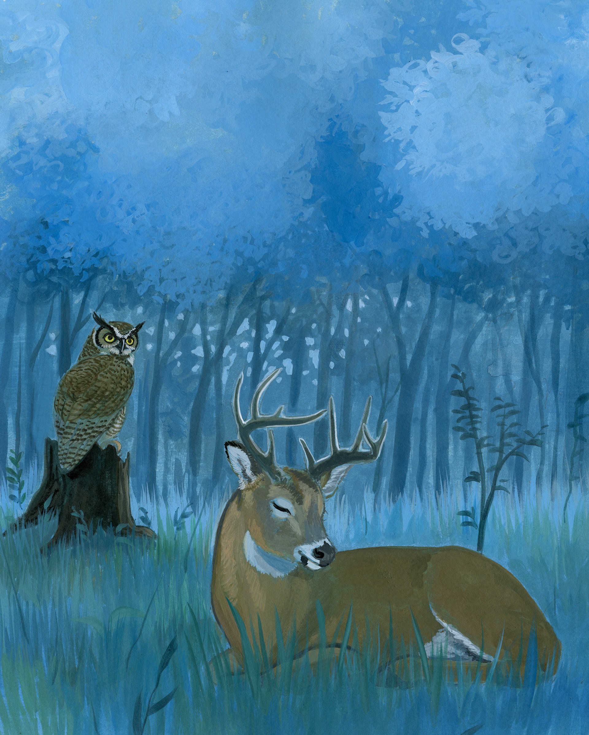 From The Owl at Night