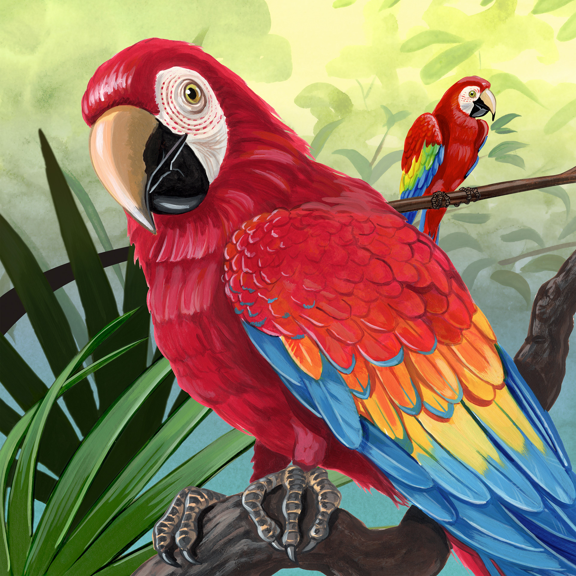 Book Cover for McGraw Hill