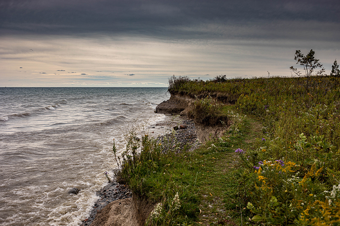 Stormy Skies