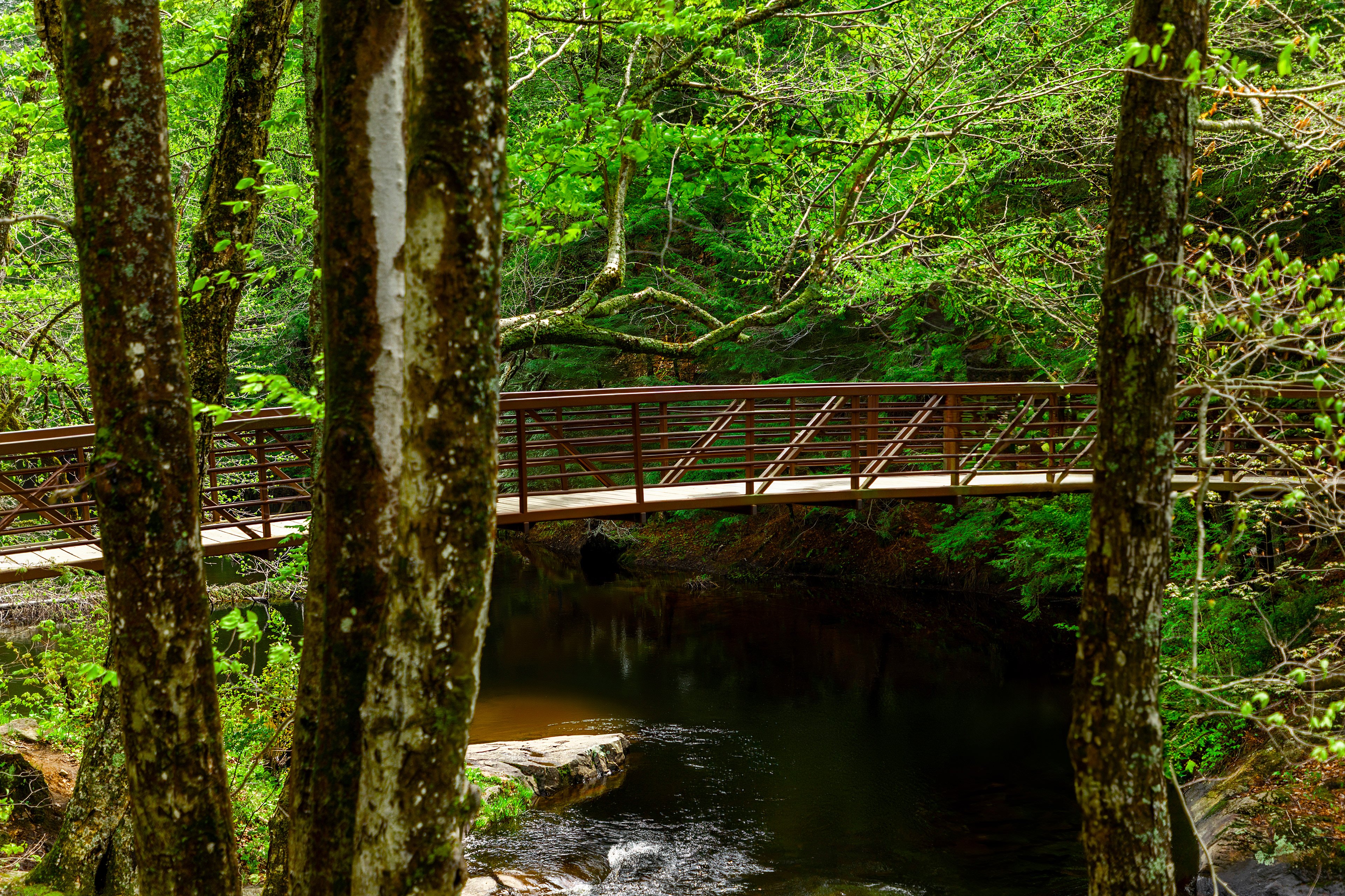 Untitled Bridge