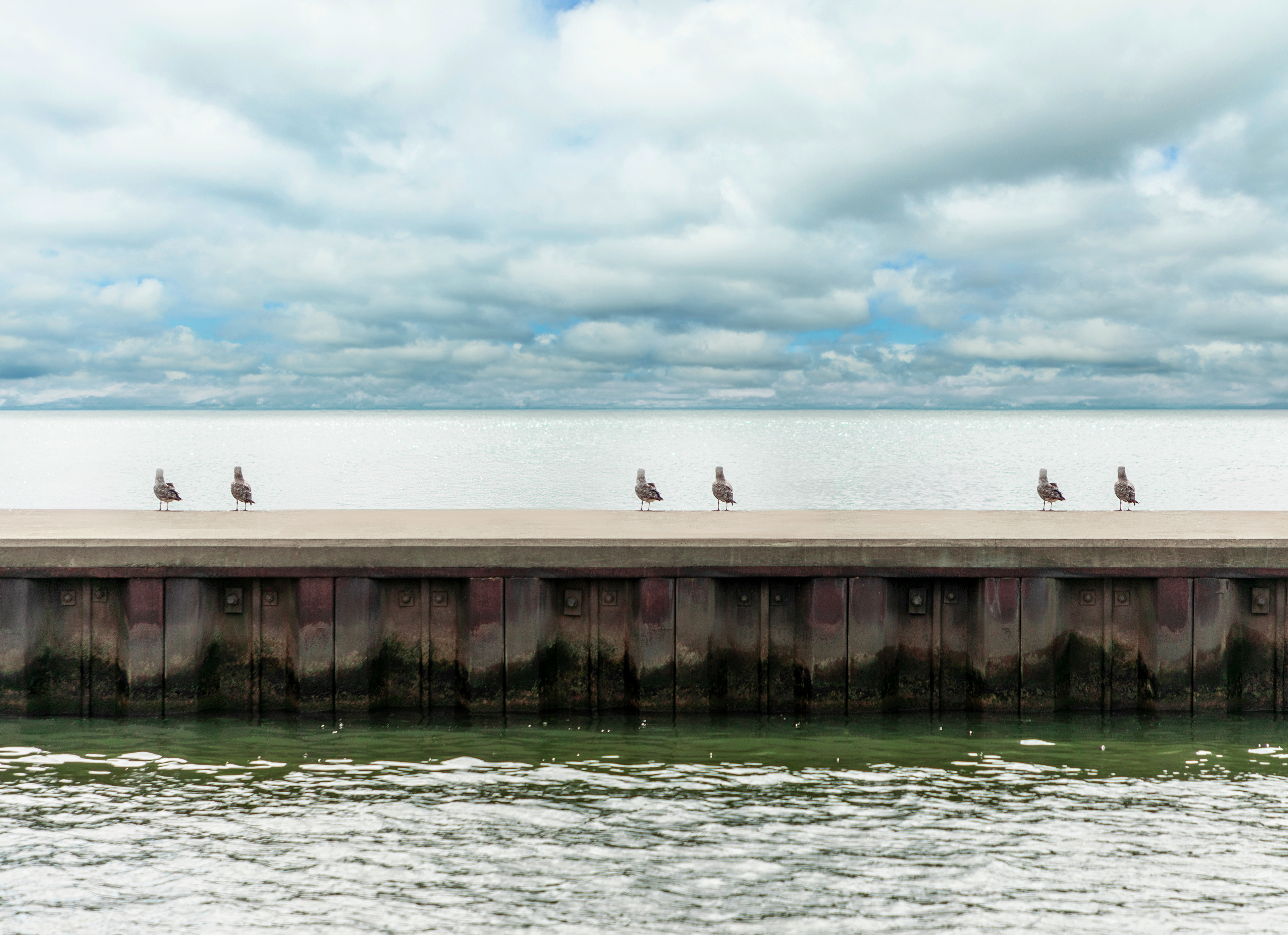 Balanced Birds