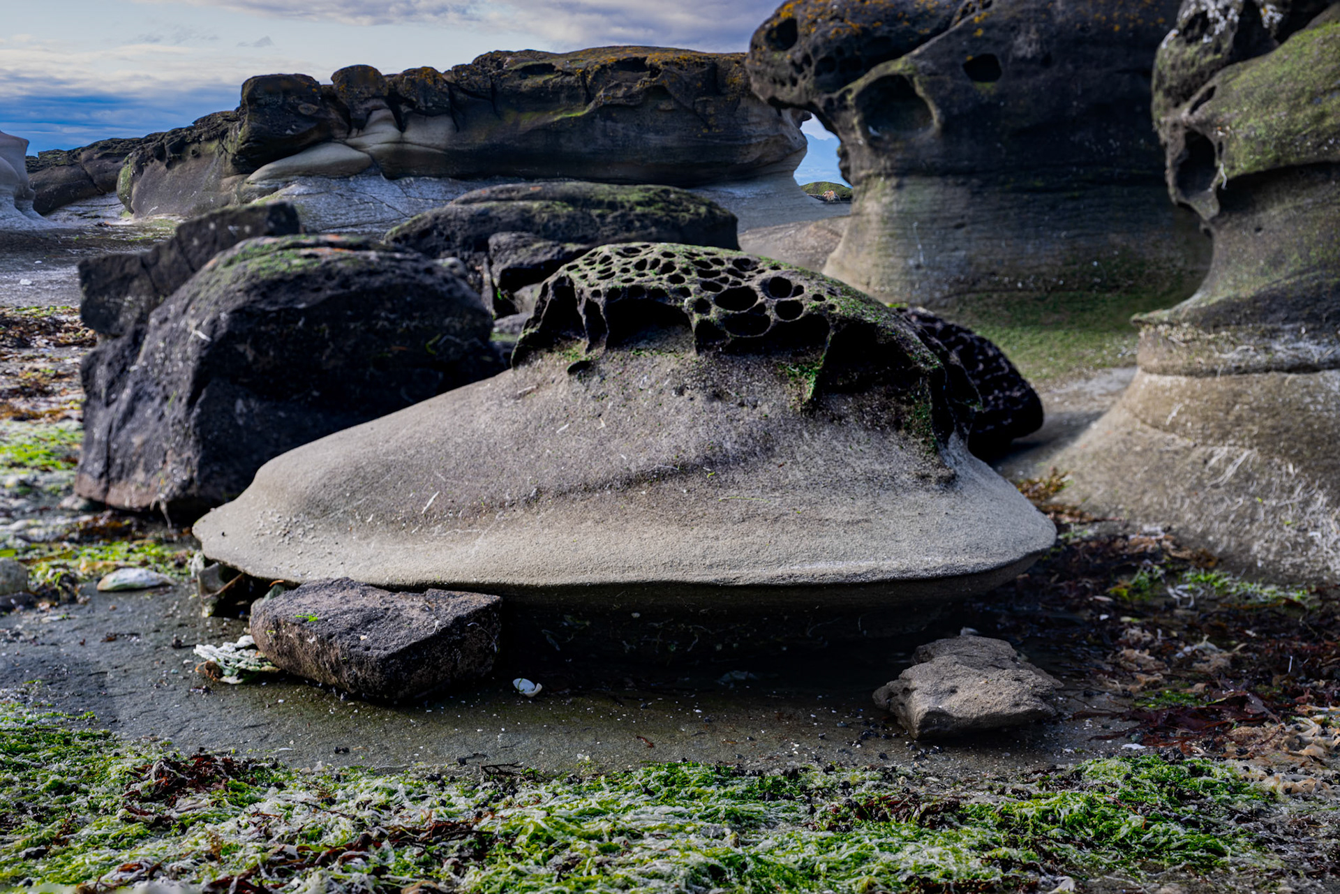 Heron Rocks, Hornby Island, BC