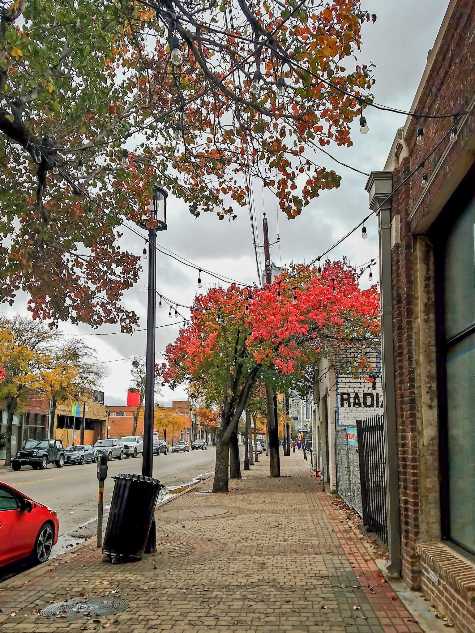 Dallas, TX, US - Dec 4, 2016: Fall leaves in Deep Ellum