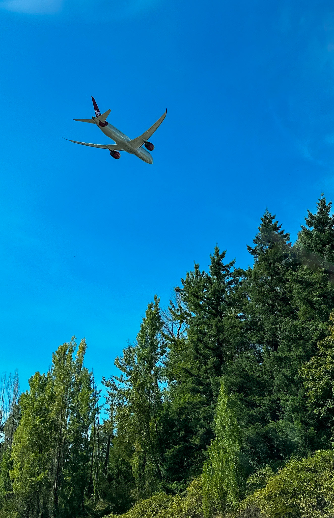 Virgin above the SeaTac treeline