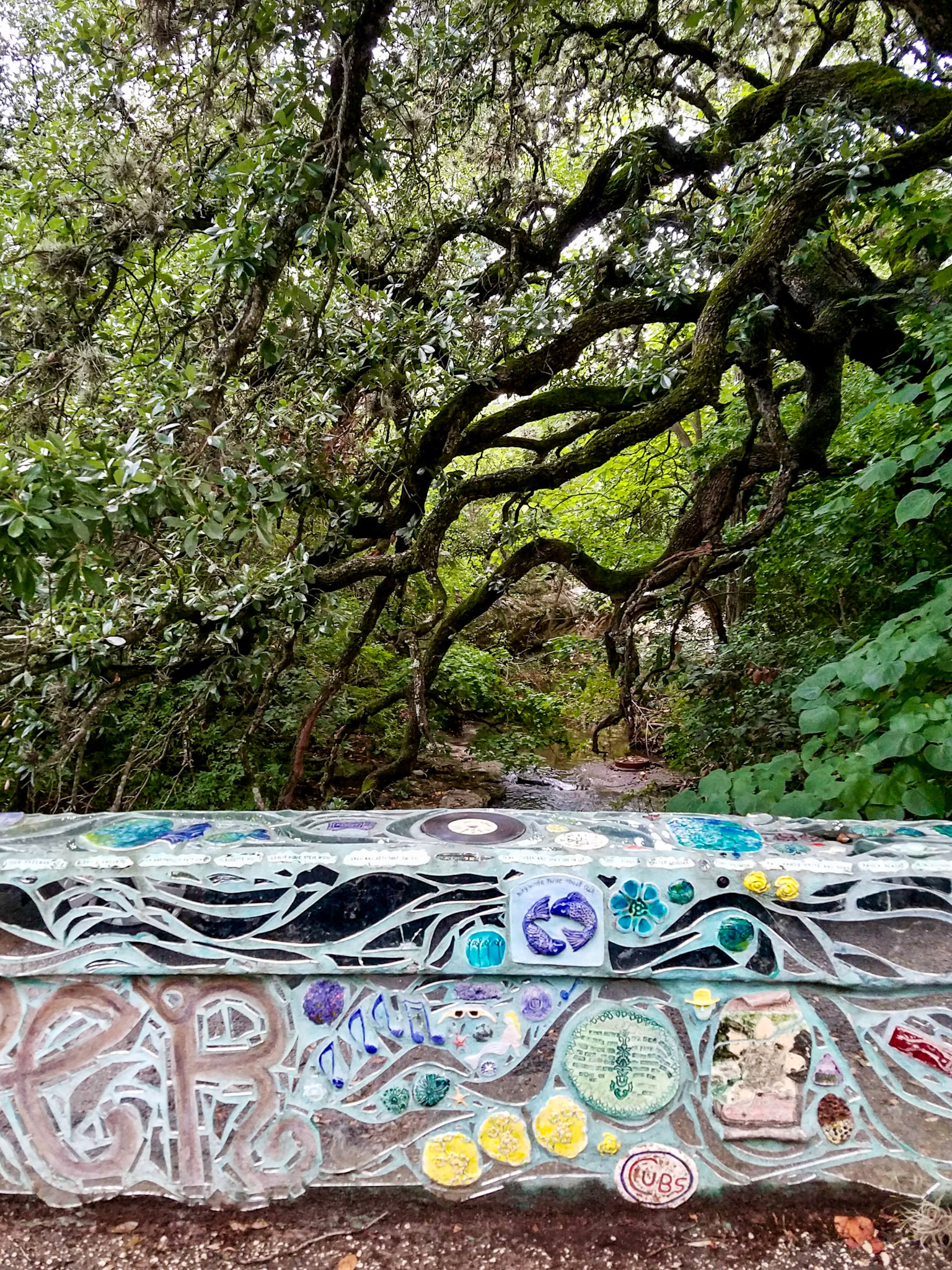 Austin, TX, US - Jun 18, 2018: Colorful mosaic wall and oak branches hanging over small creek