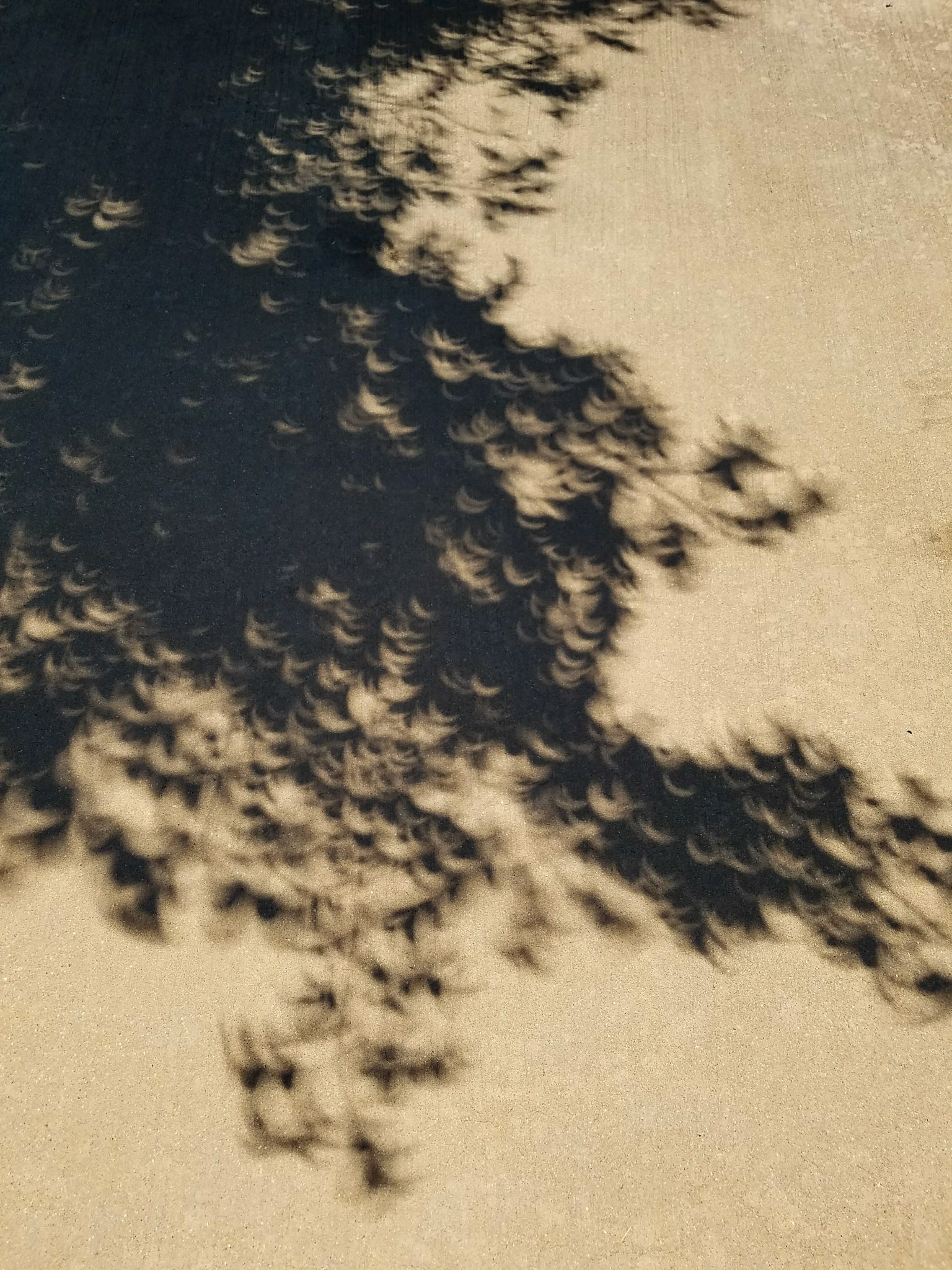 Aug 21, 2017: eclipse shadows