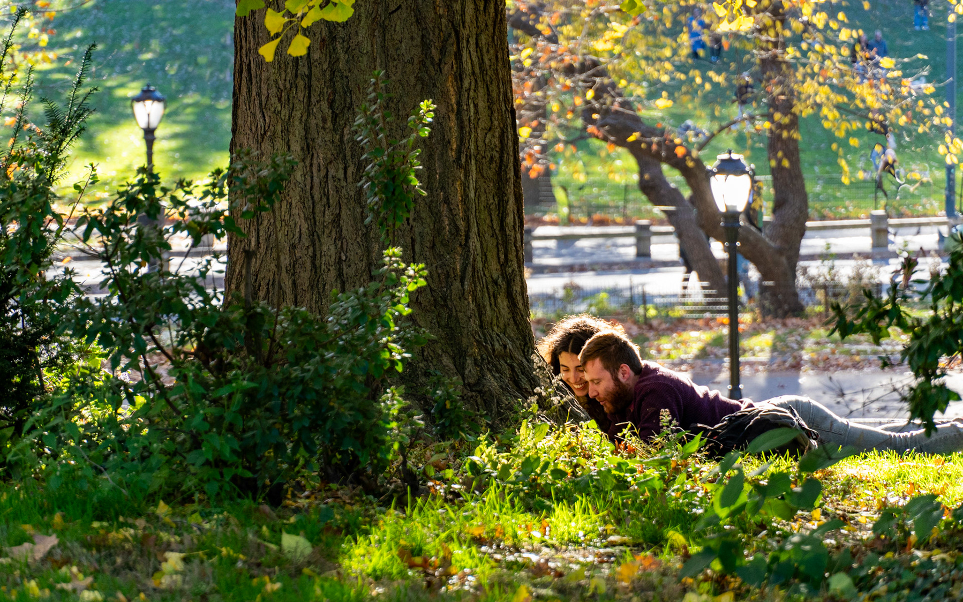Central Park, November 2023